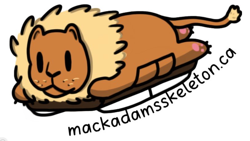 lion.jpeg