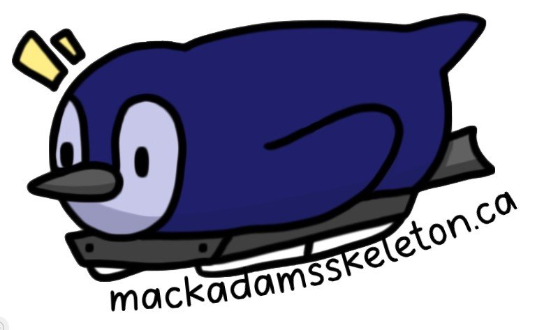 penguin.jpeg