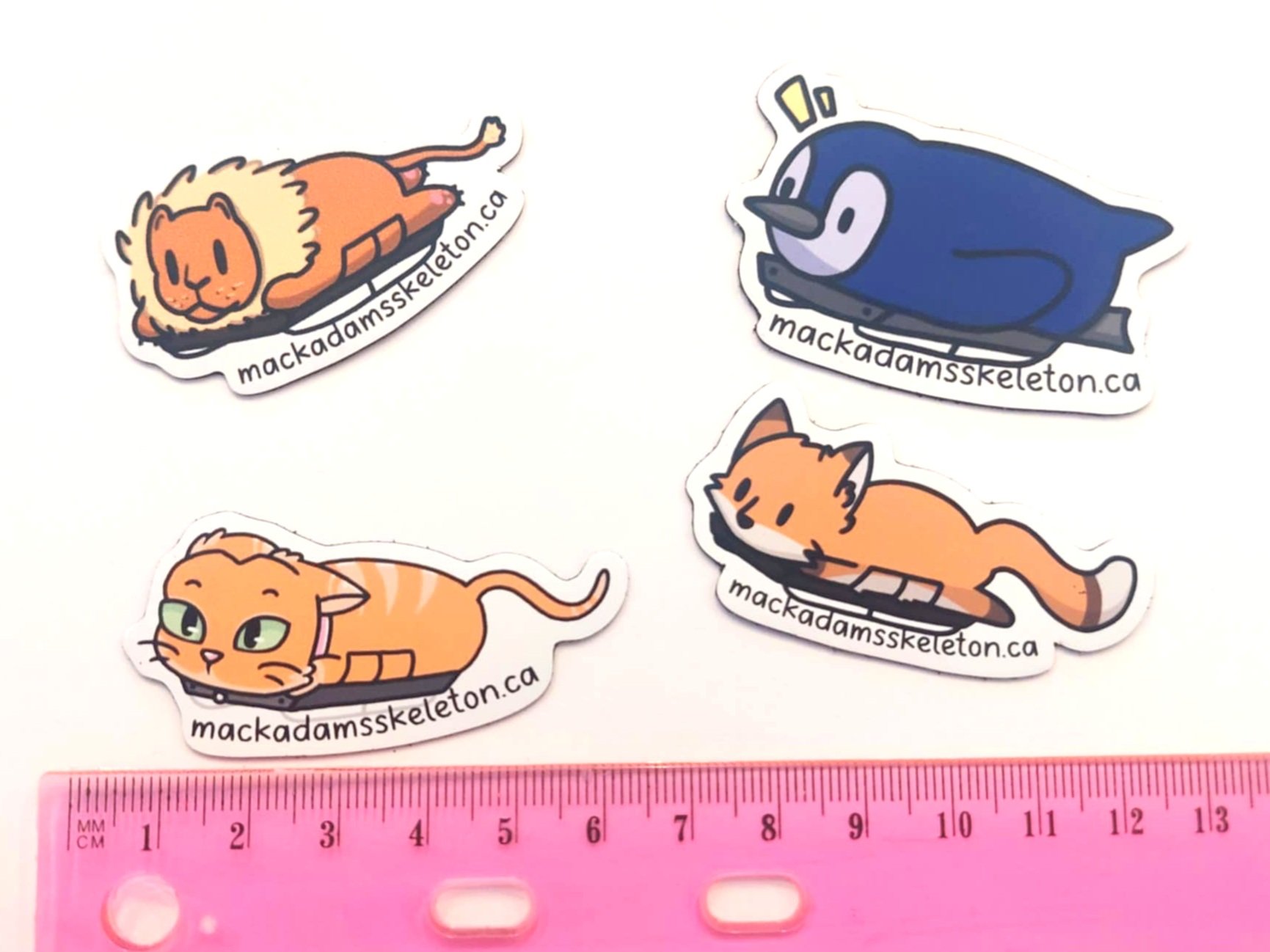 Small Animal Magnets