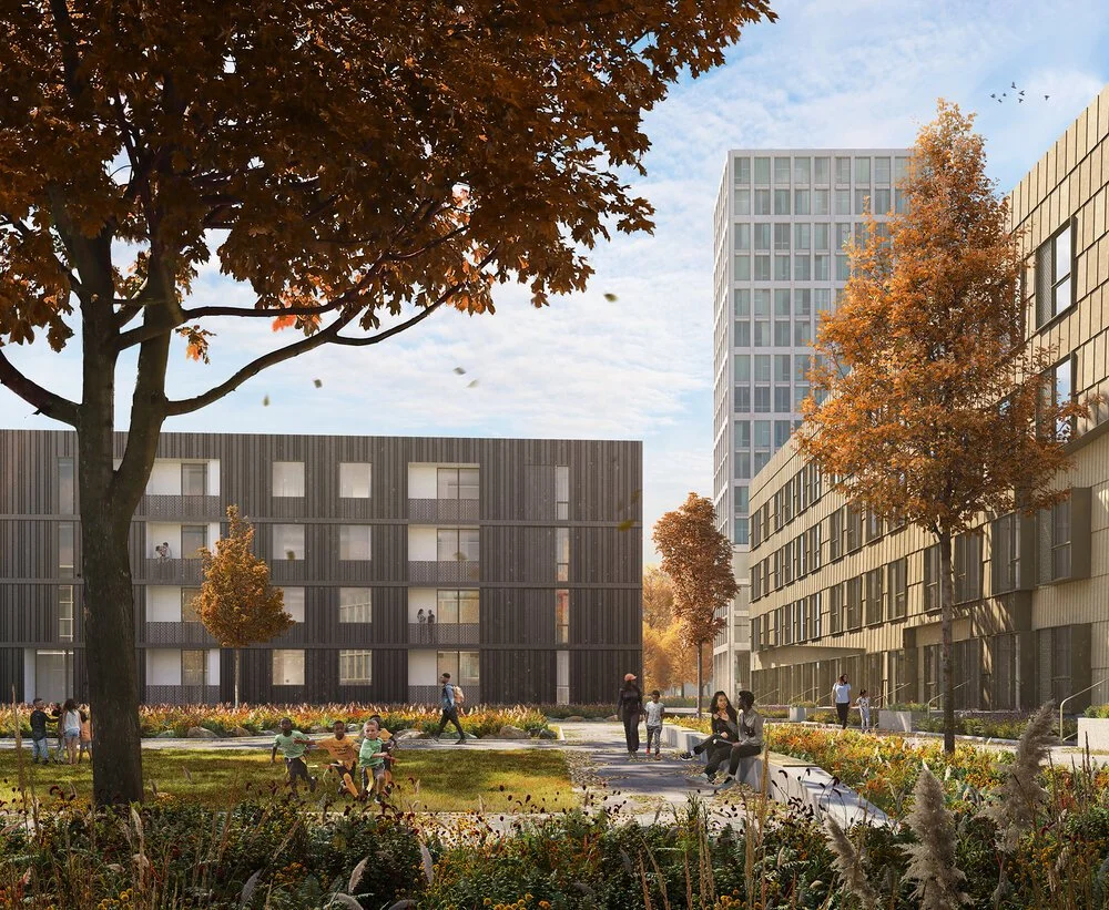 courtyard for multifamily housing during fall season
