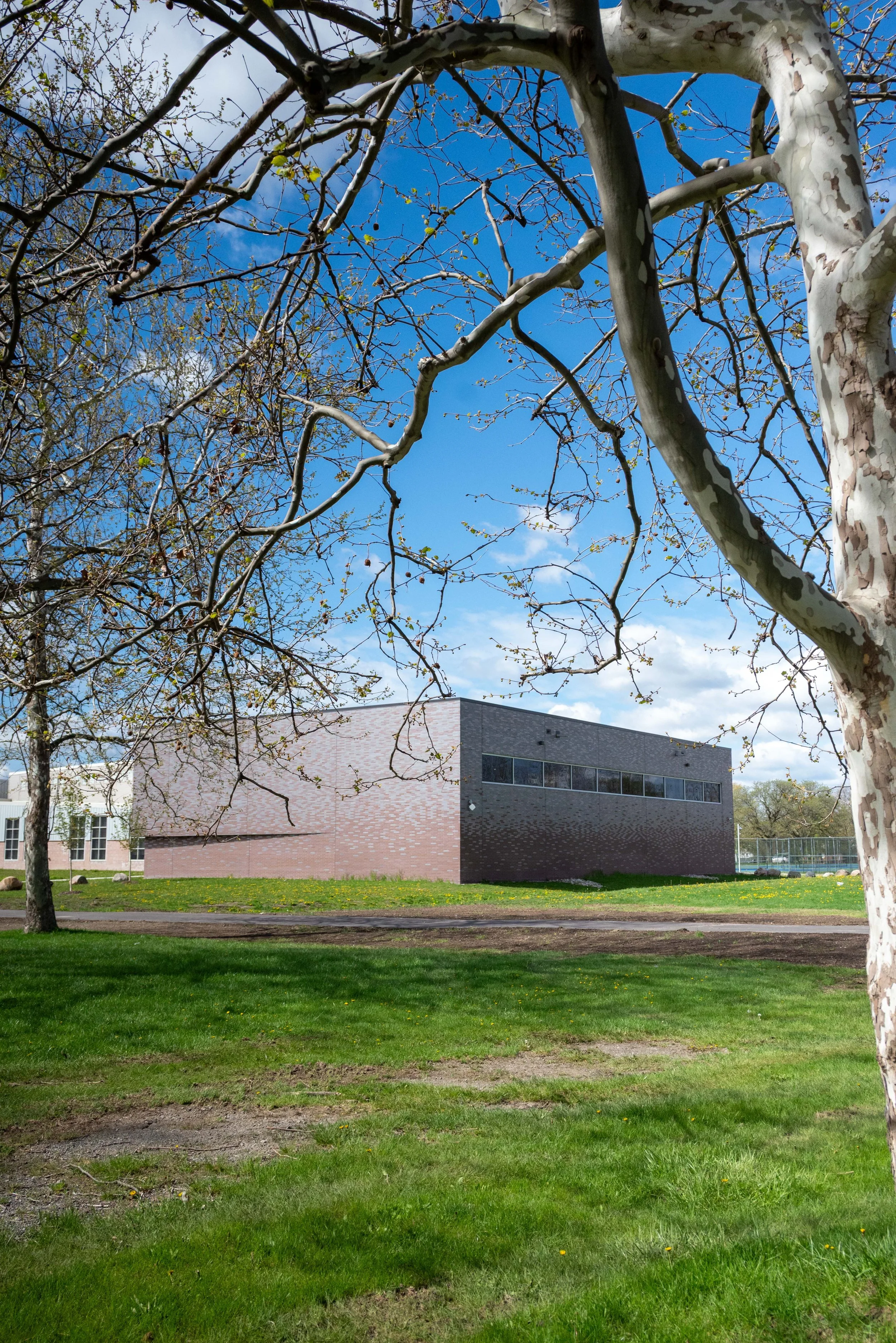 Intoto Studio_Farwell Recreation Center_Detroit_Gymnasium Addition_Photo_11.jpg