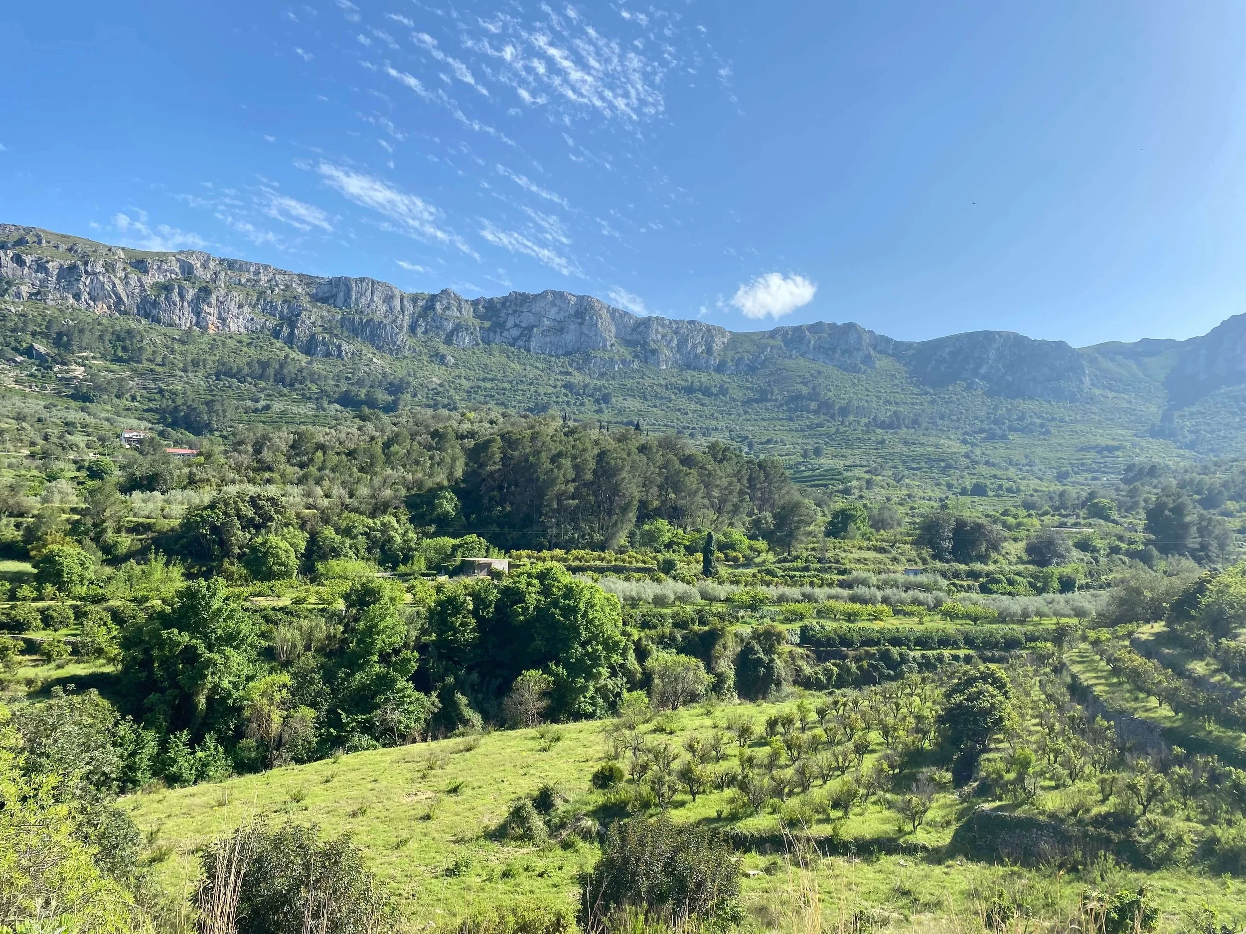 Vall Gallinera_Top Places in Costa Blanca.jpeg