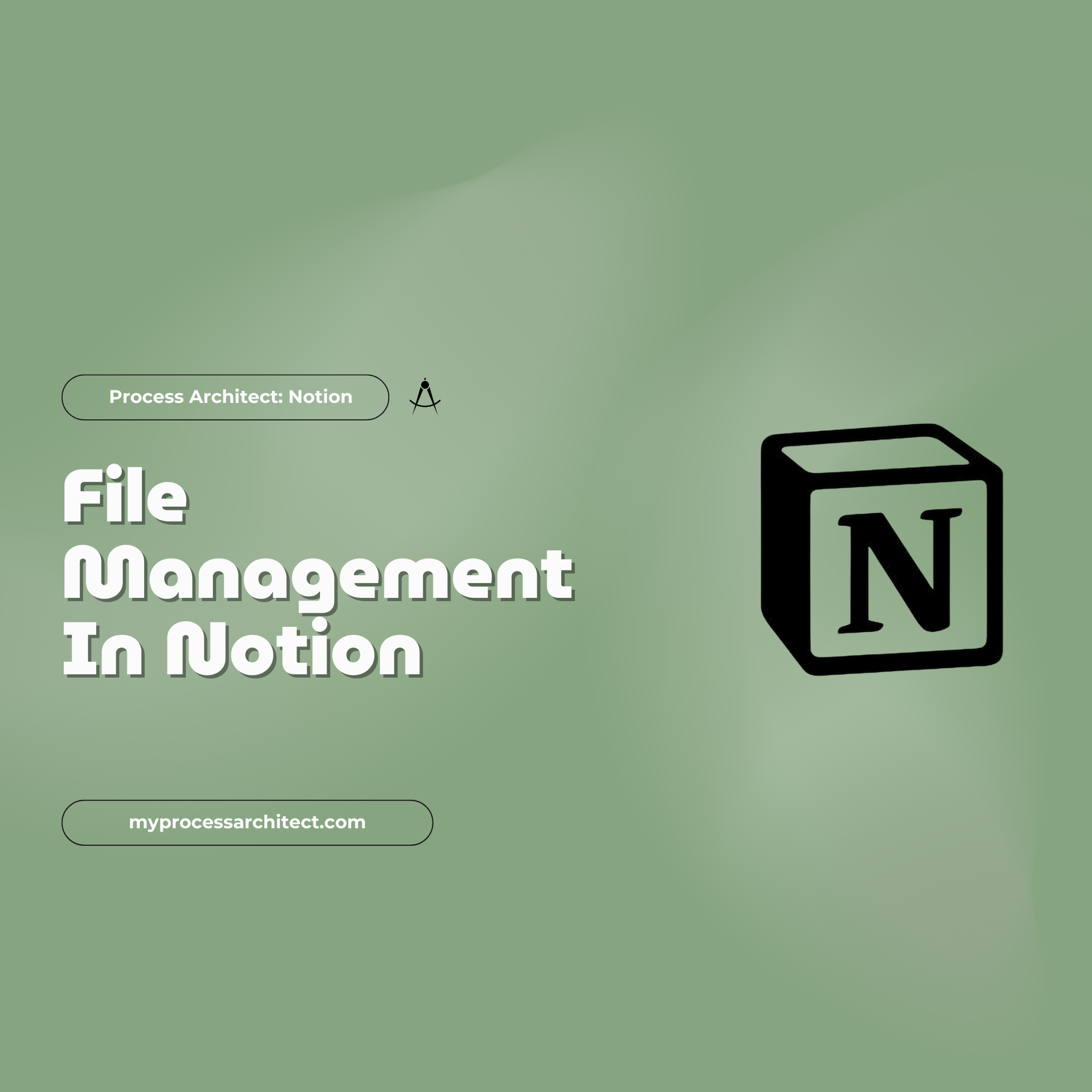 File Management in Notion