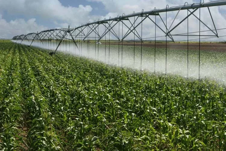Crop irrigation system