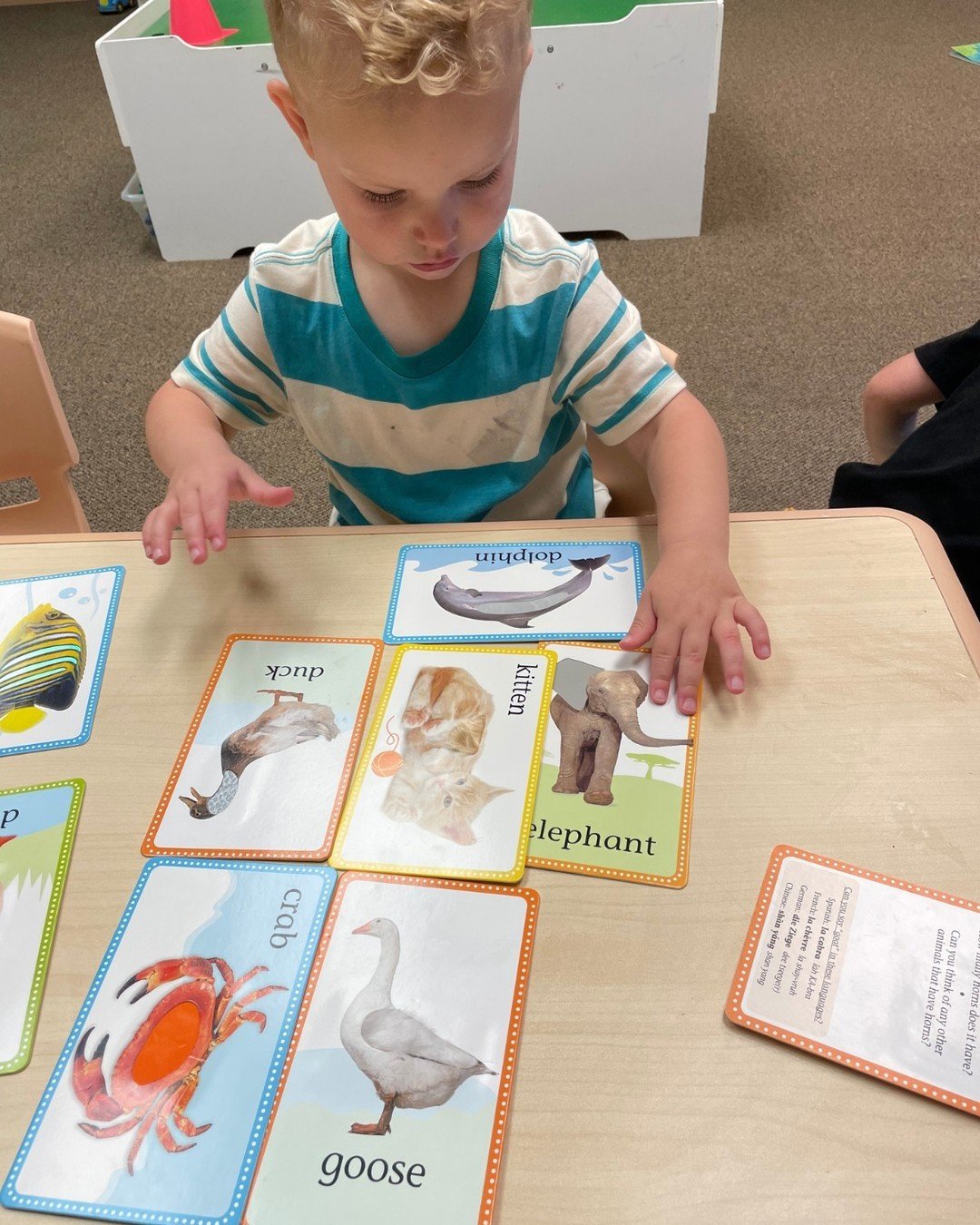 πΎ Our little ones are mastering their knowledge of animals, their habitats, and the sounds they make using interactive animal cards.
π¦π§πΈFrom the roaring lion to the playful penguin and the croaking frog, we're expanding their understanding of th