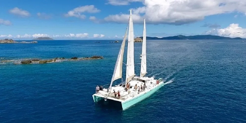 63 CATAMARAN06.jpeg