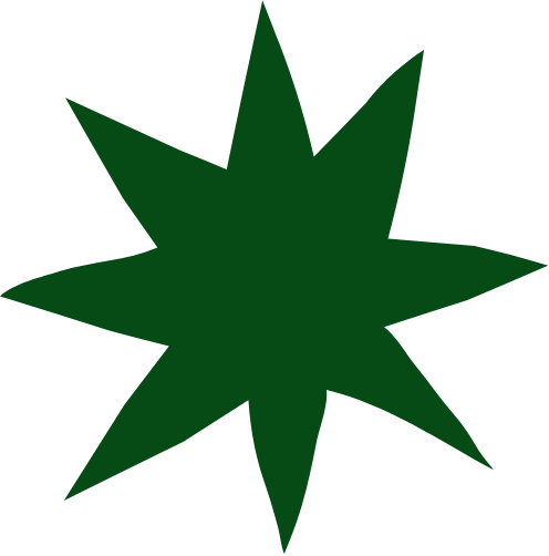 A green star shape with multiple points.