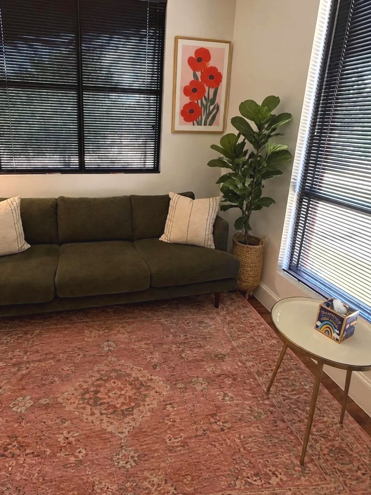 Therapy With Jeanine office, with a green sofa, two beige pillows, a large potted plant in a woven basket, a picture of red flowers on the wall, black window blinds, a pink patterned rug, and a small white side table.
