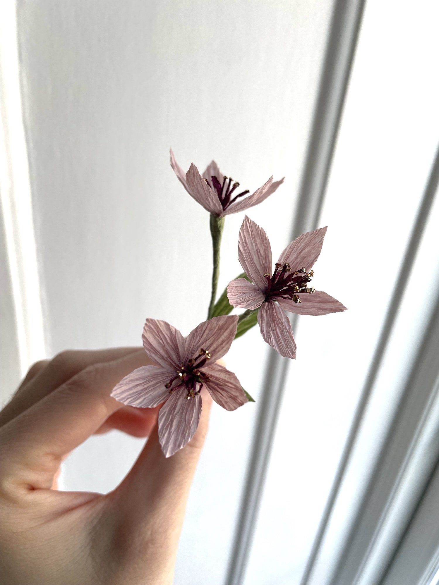 Mauve.jpg