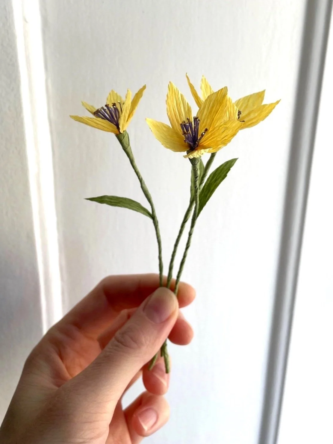 Yellow.jpg