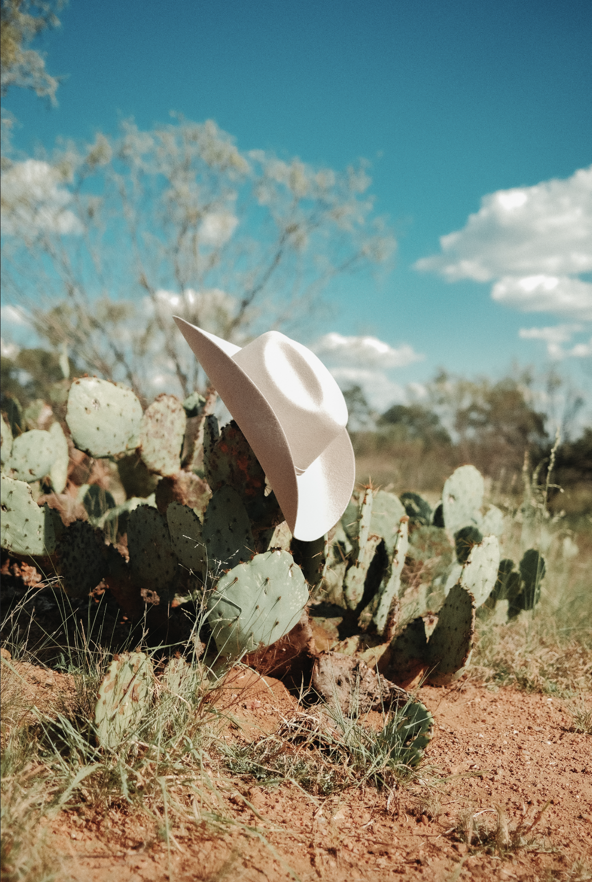 Screenshot 2026-01-27 at 12.47.51 AM.png