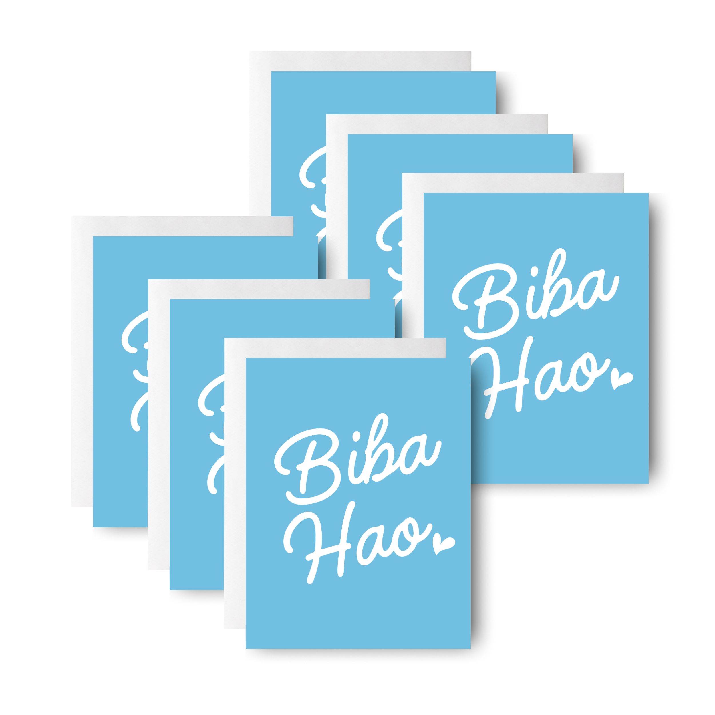Biba Hao A2 Mockup (x6).png