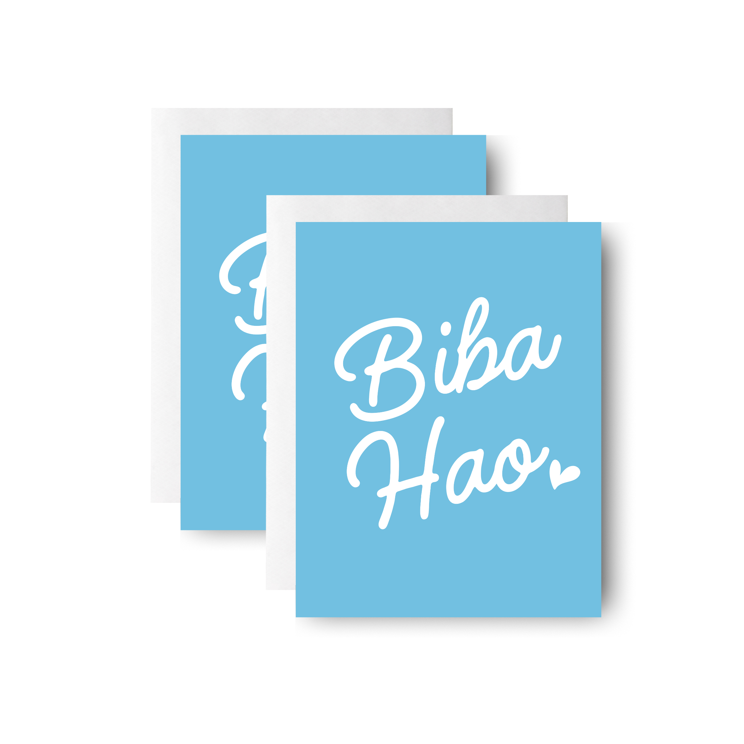 Biba Hao A2 Mockup (x2).png