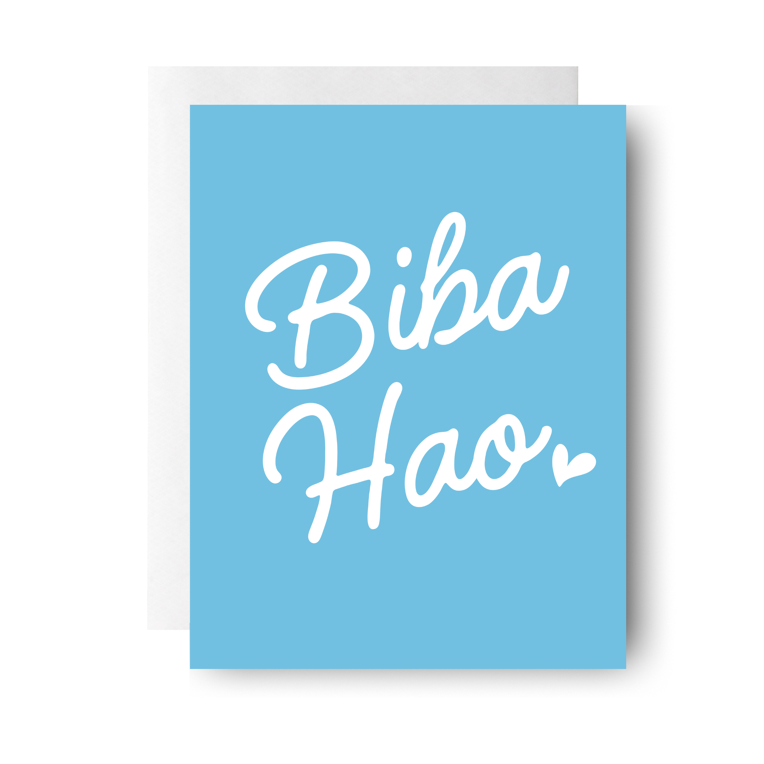 Biba Hao A2 Mockup (x1).png