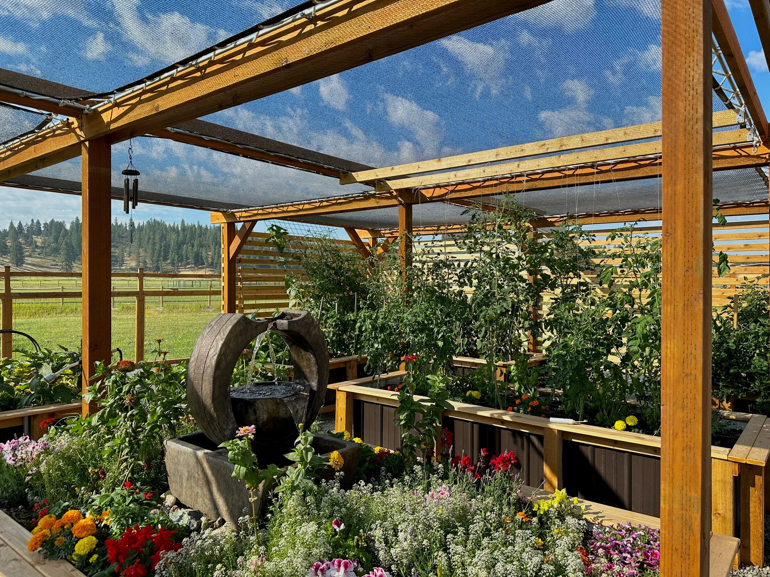Pergola - 3.jpeg