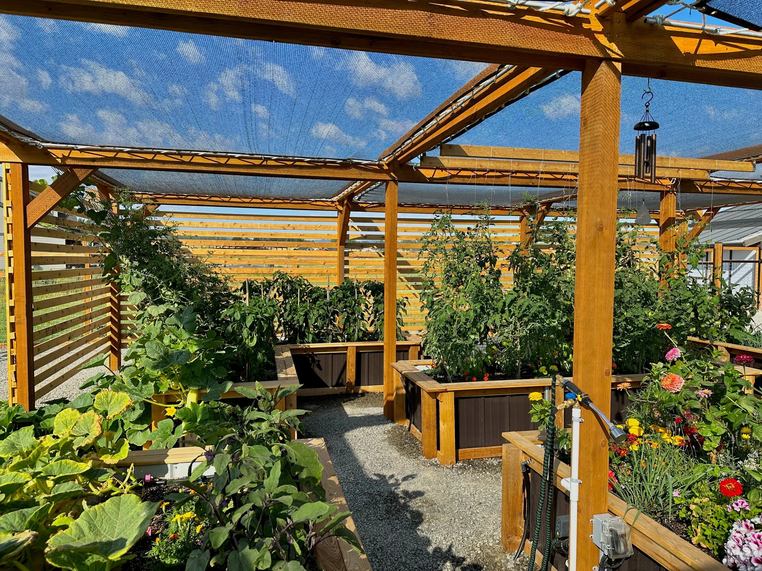 Pergola - 5.jpeg