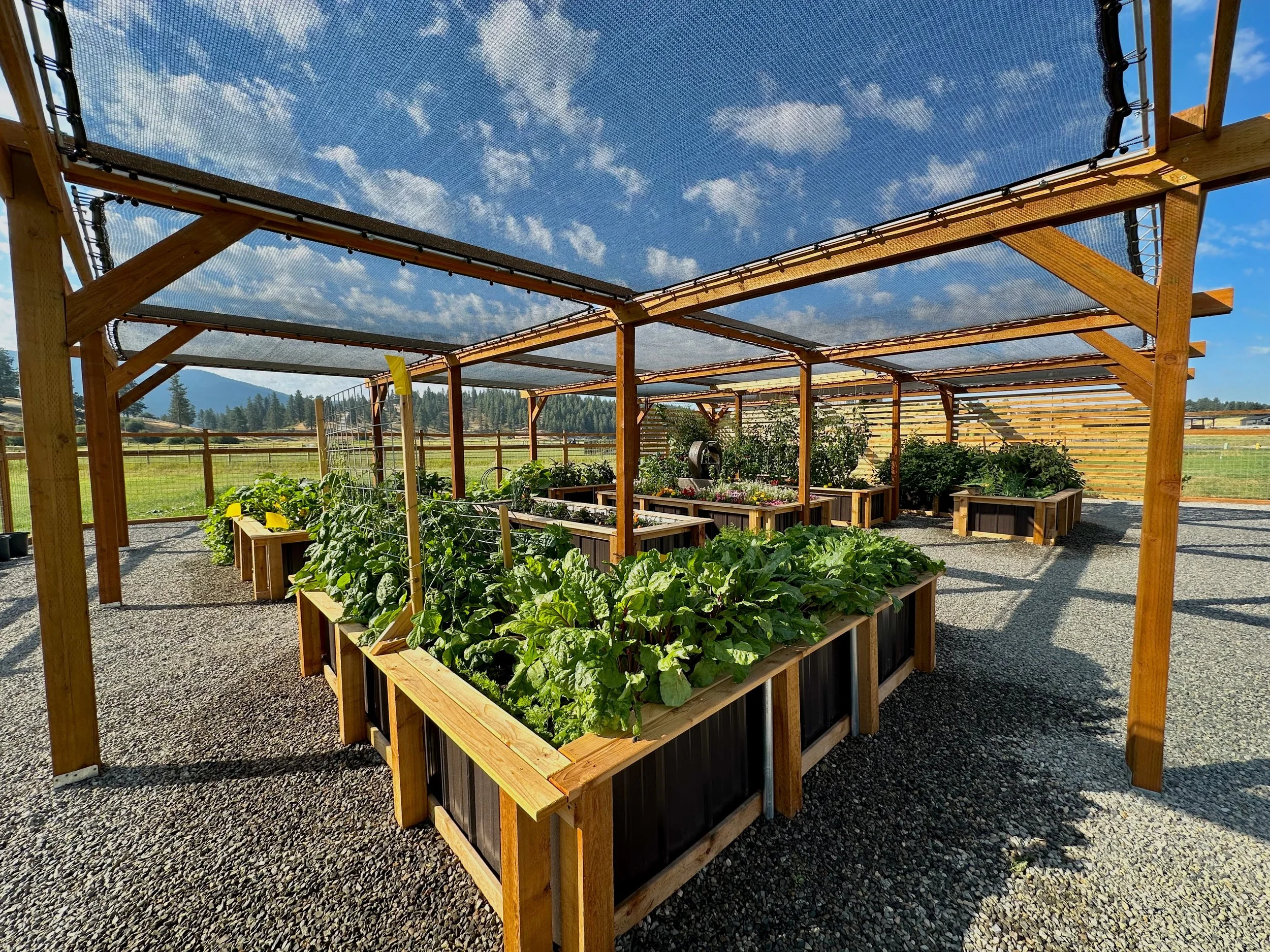 Pergola - 8.jpeg