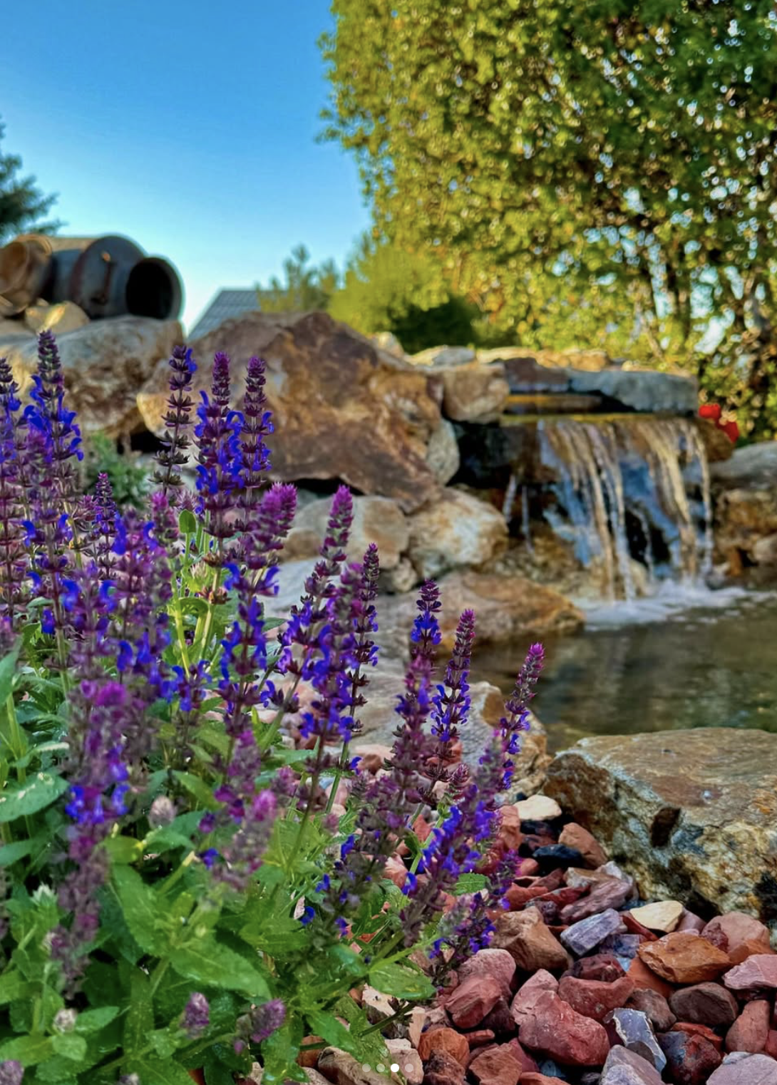 Screenshot 2025-09-15 at 10.01.05 AM.png