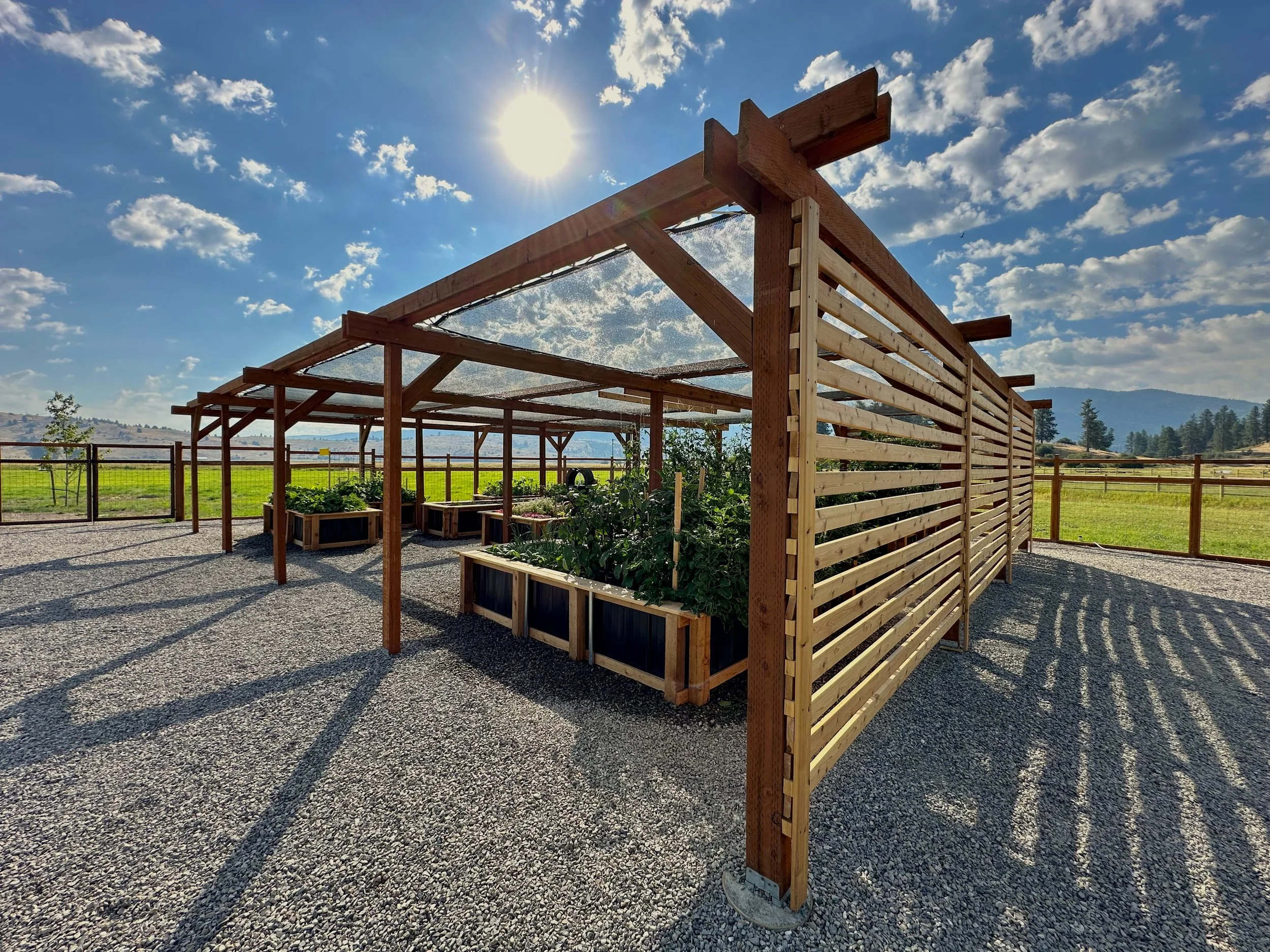 Pergola - 10.jpeg