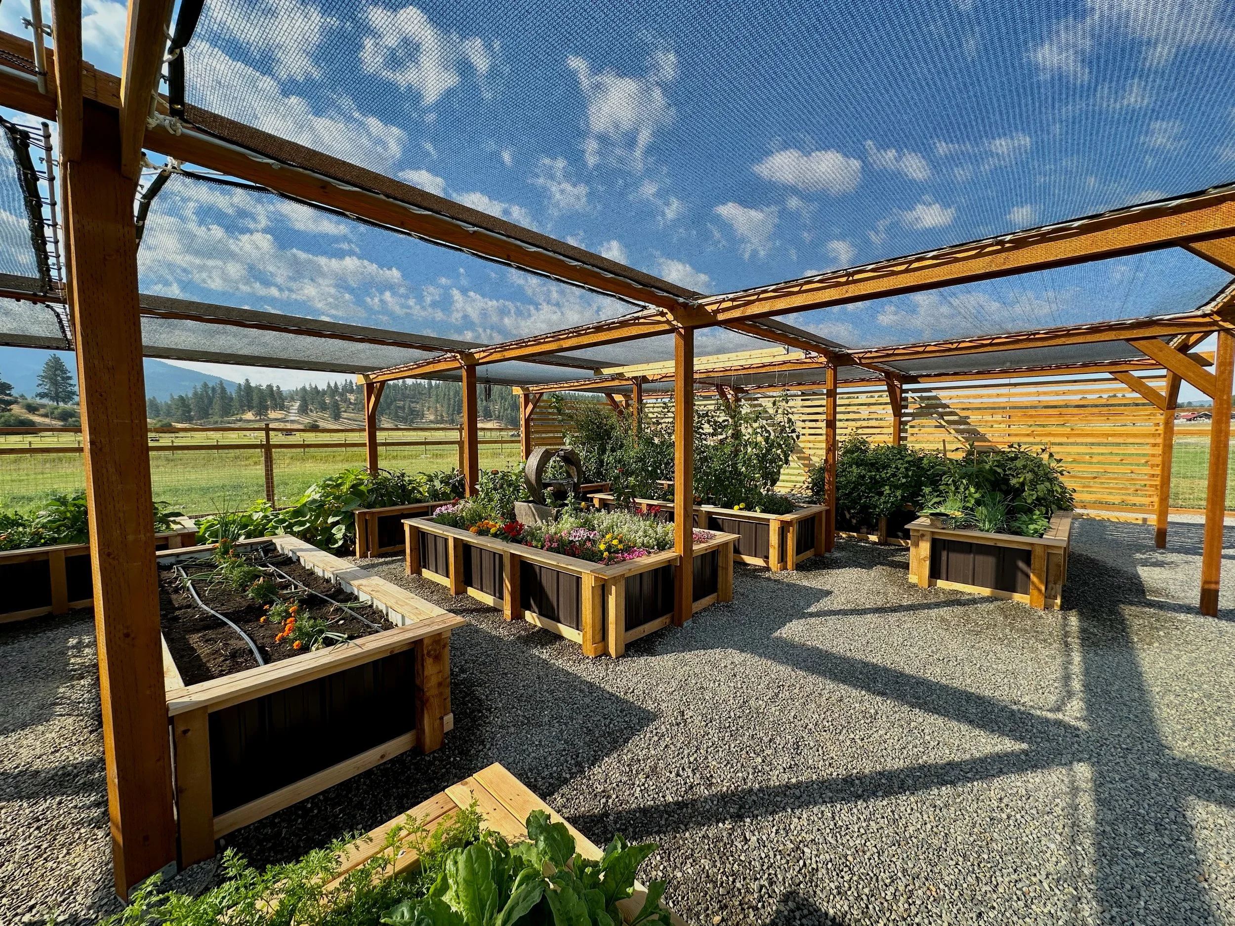 Pergola - 2.jpeg
