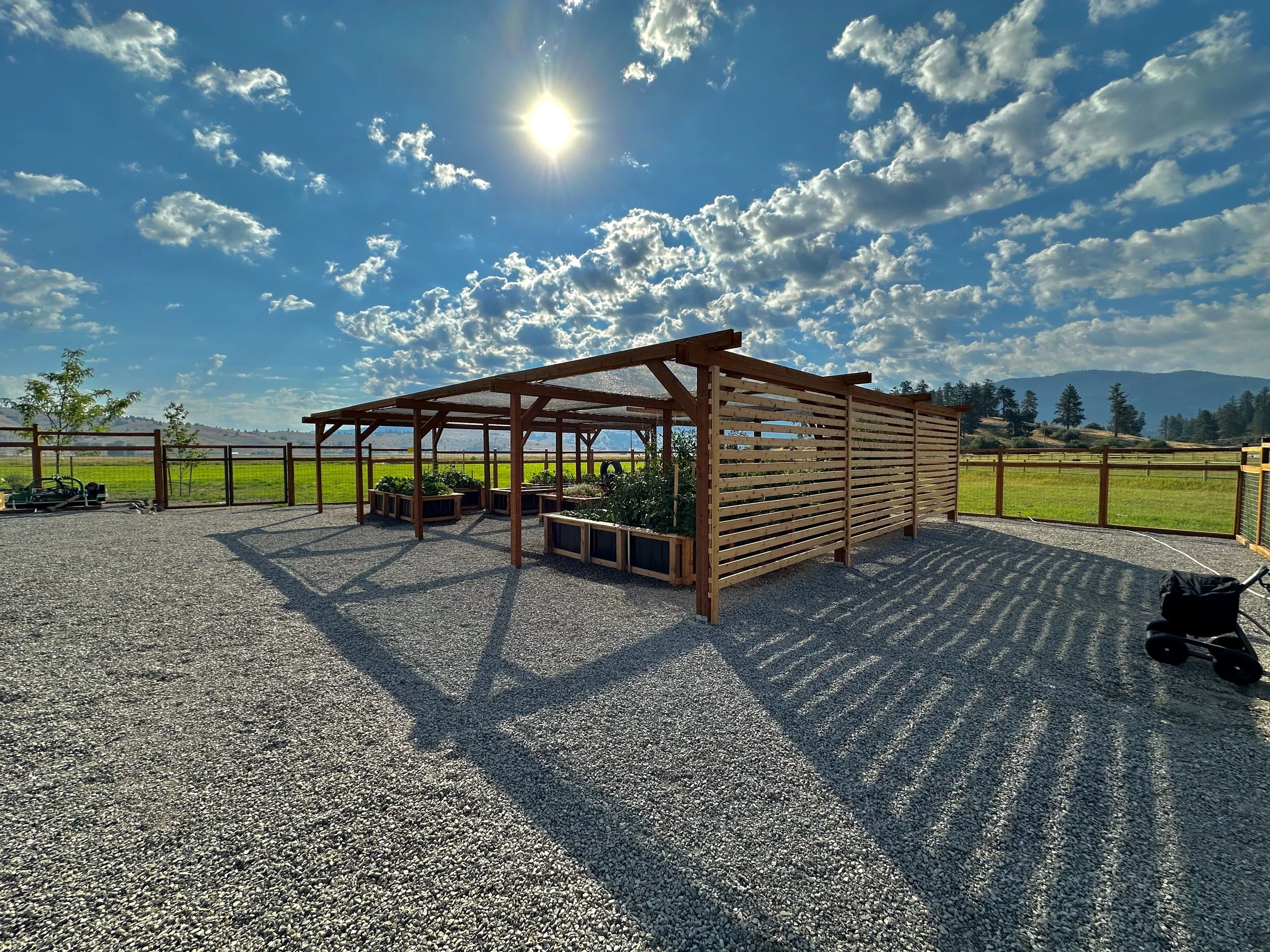 Pergola - 9.jpeg