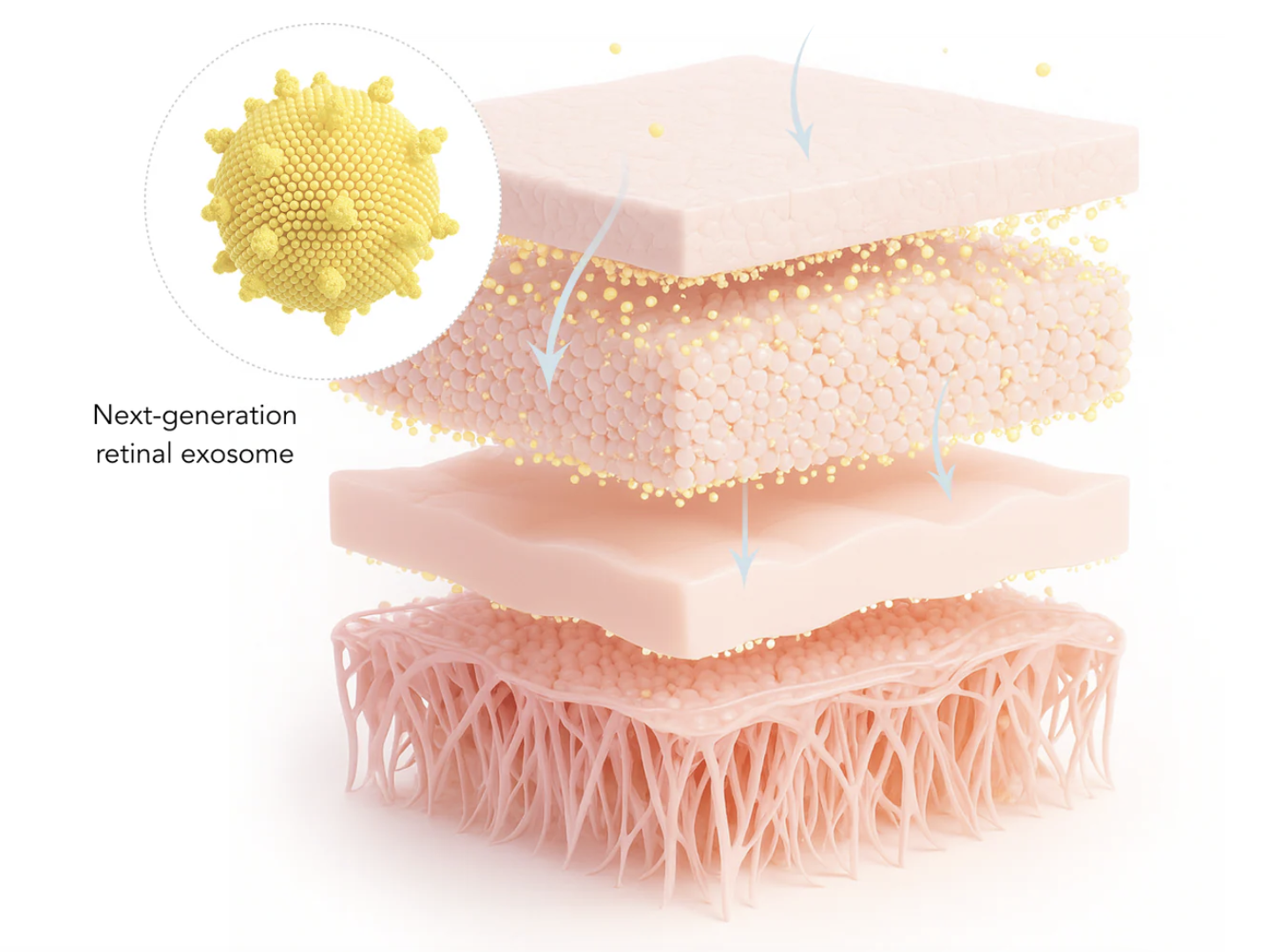 Screenshot 2026-03-12 at 7.44.19 PM.png