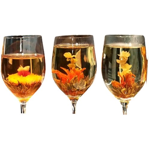 Flowering Teas in Glasses Showing Types