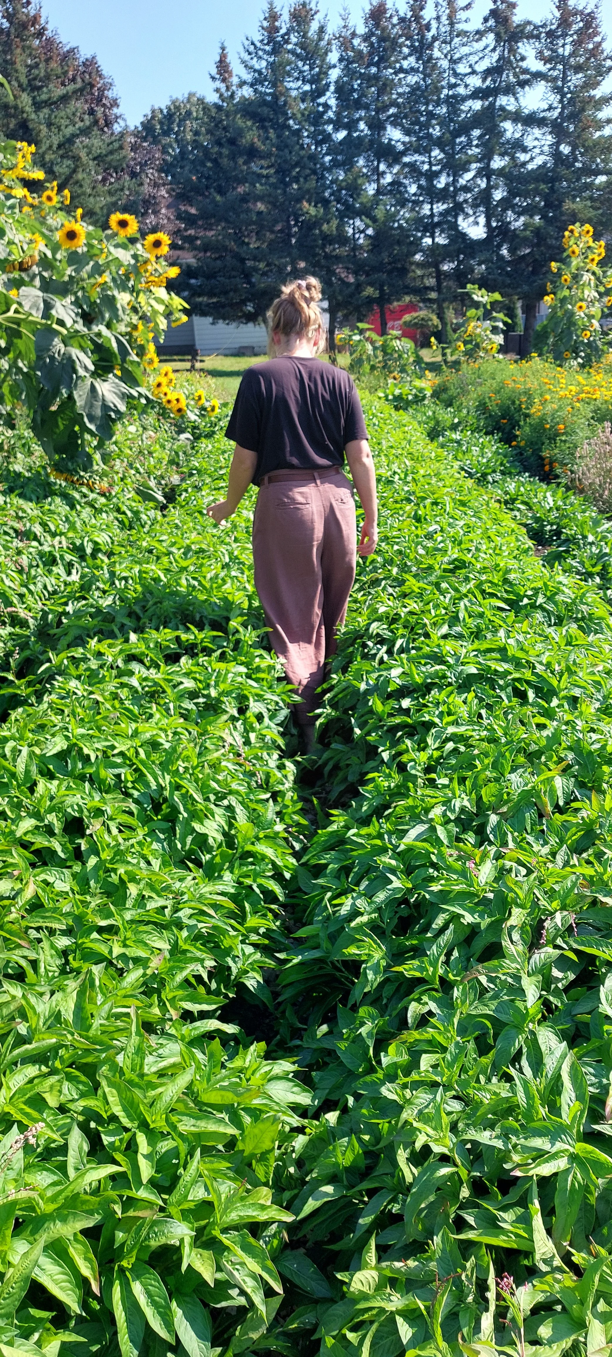 20240915_142431 (1).jpg