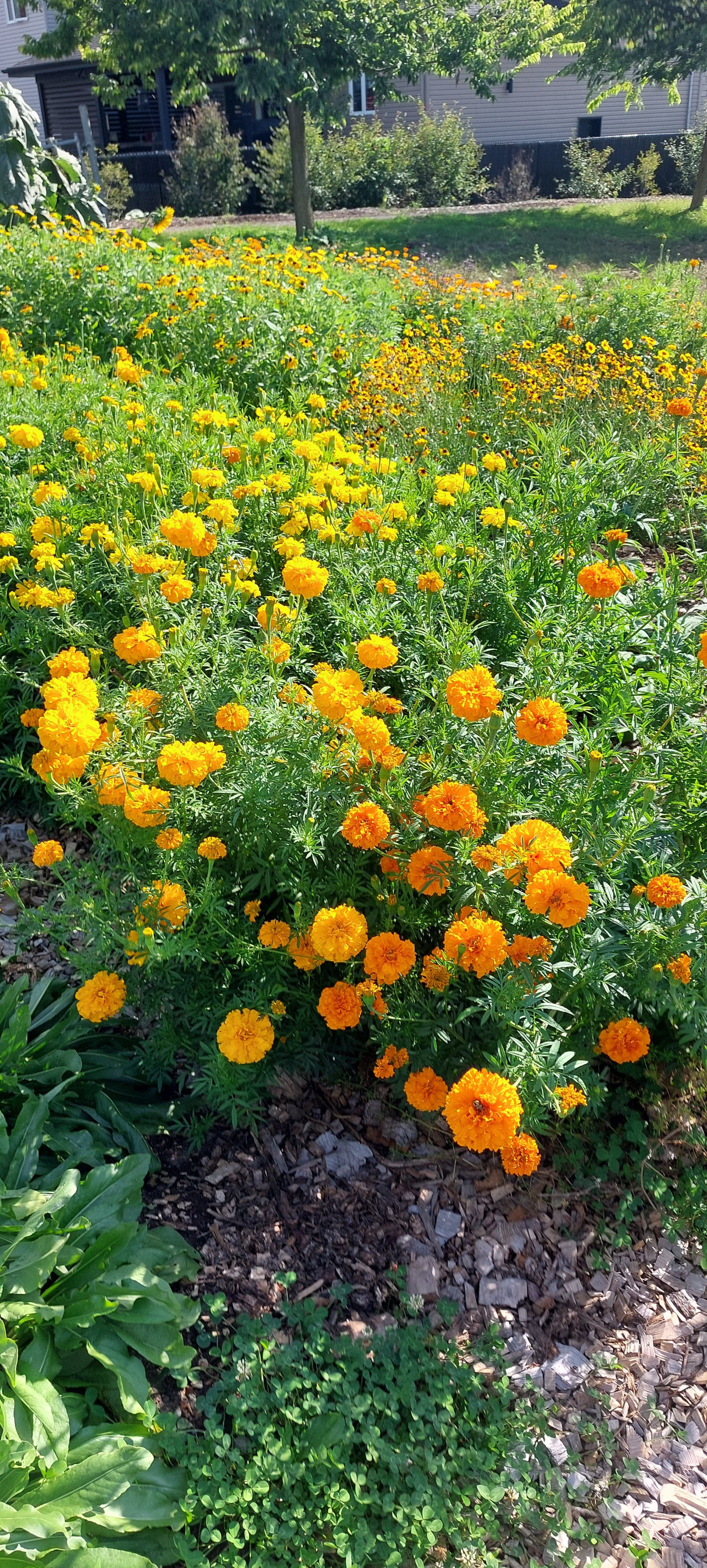 20240906_152958 (1).jpg