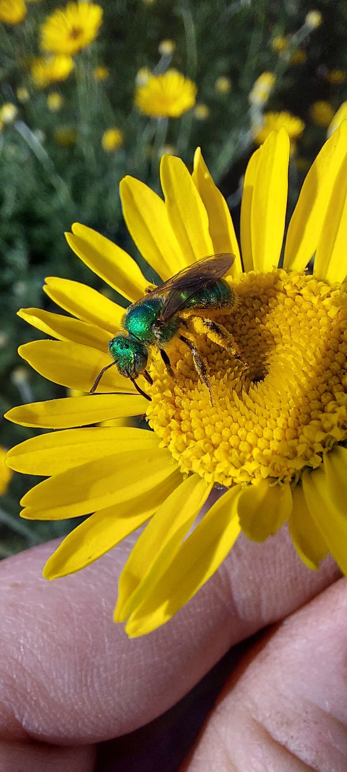 20250620_164838 (1).jpg