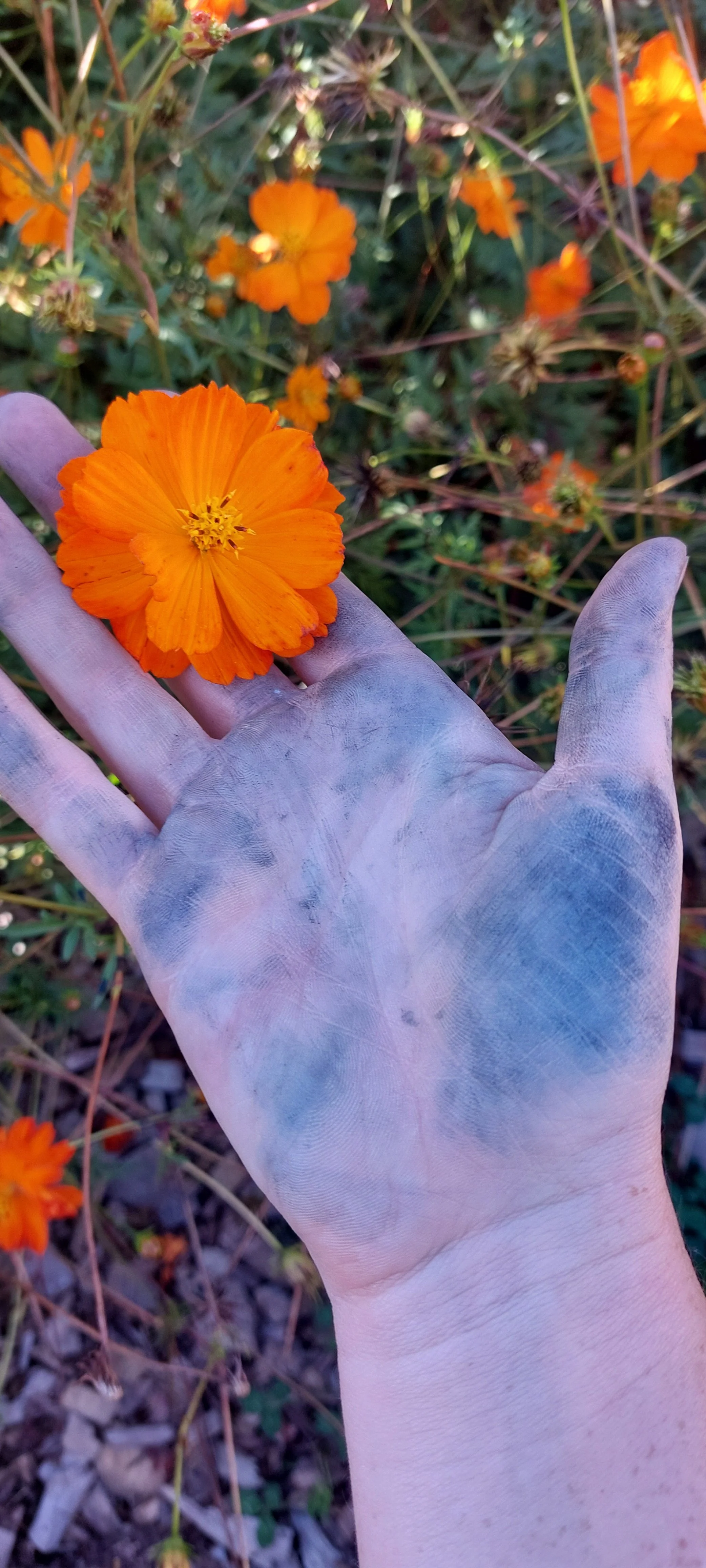 20240927_164825 (1).jpg