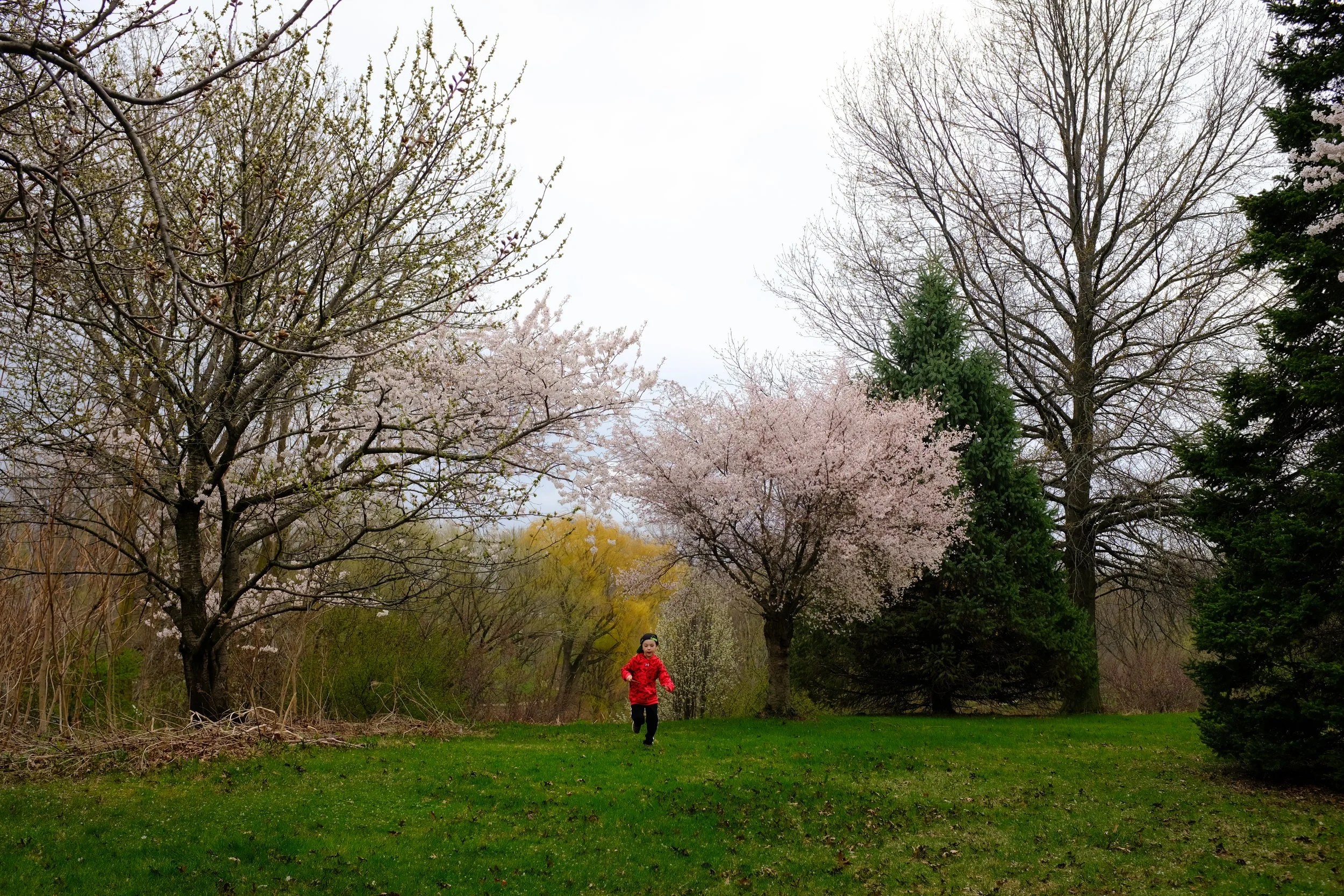 DSCF8749.JPG