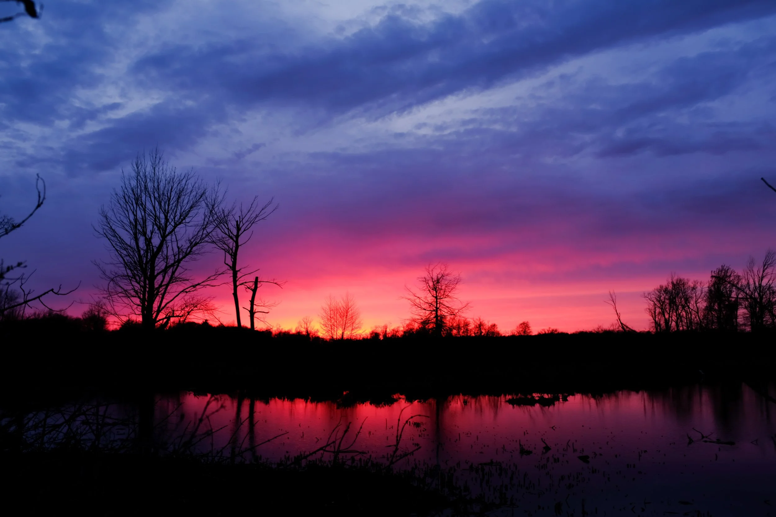DSCF8712.JPG