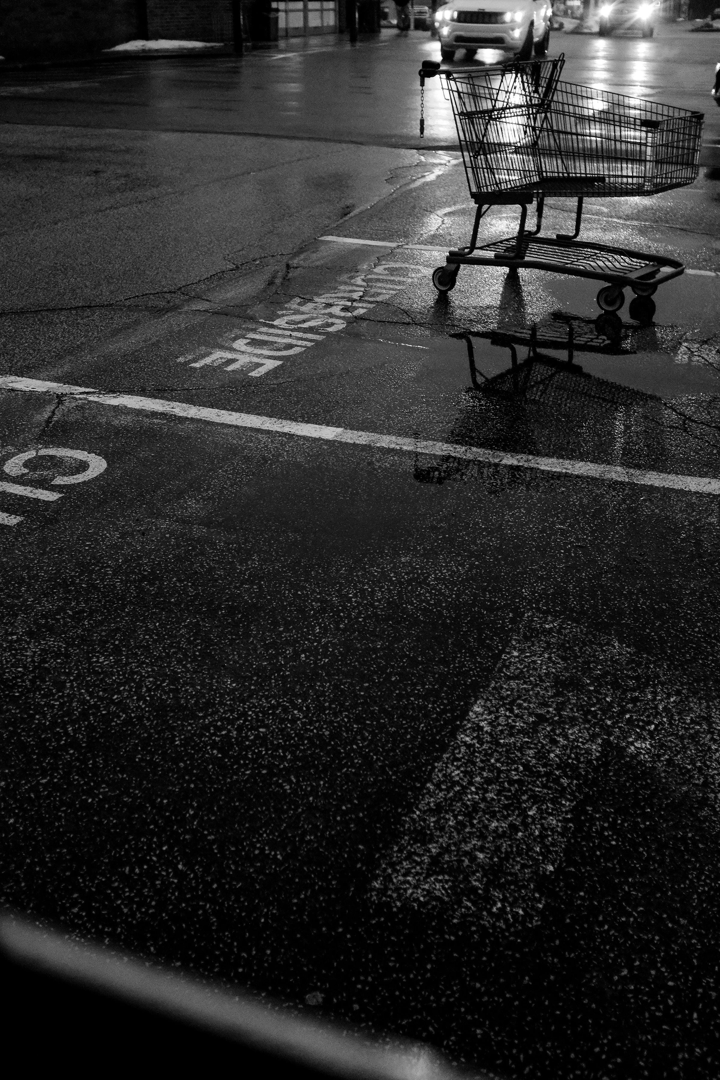 bWloneshoppingcartrainyday.jpg