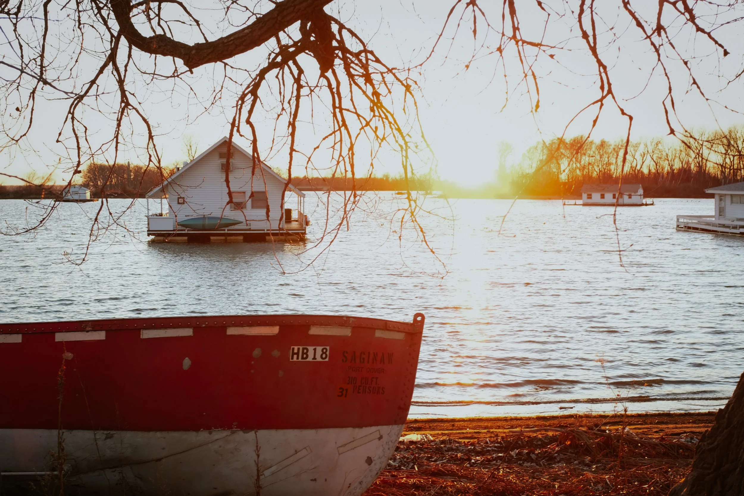 DSCF8580.JPG