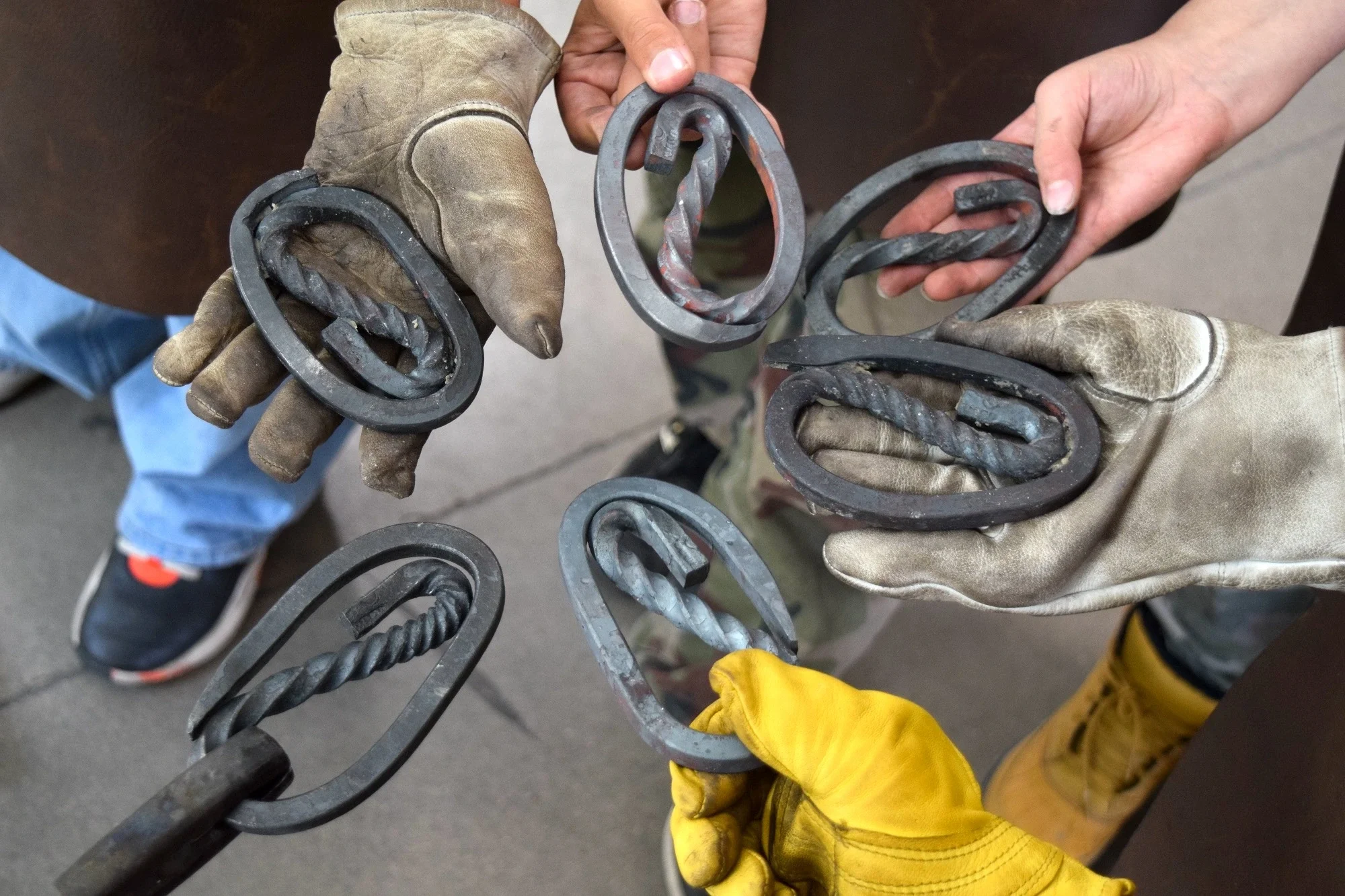 Dragon Eggs - group pic.webp