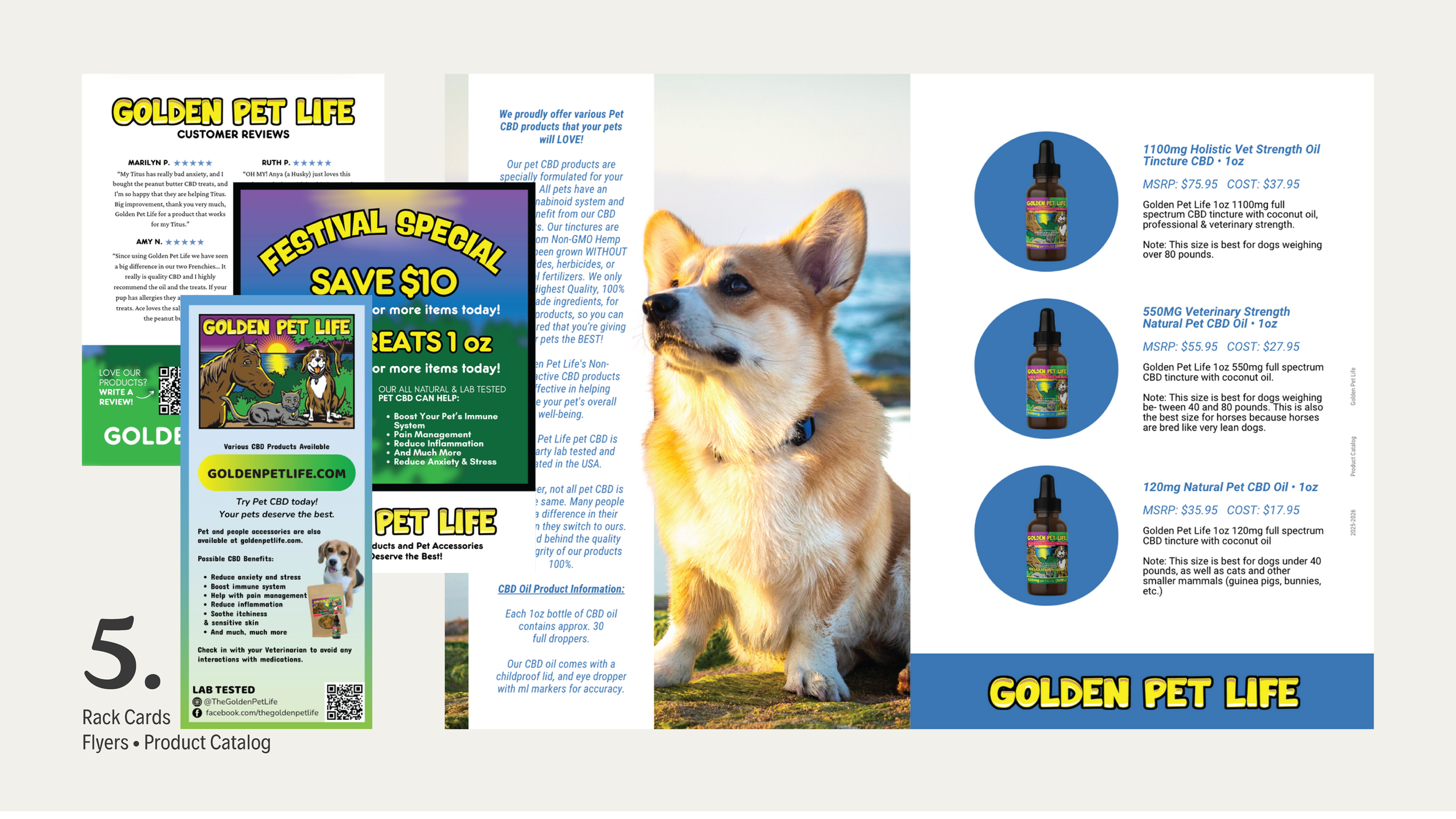 cici-graphic-design-portfolio-catalog-goolden-pet-life.webp
