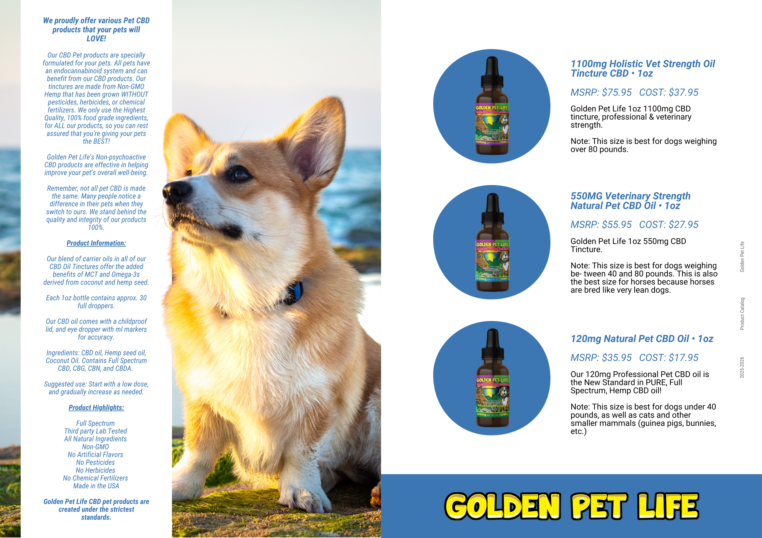 Catalog Design