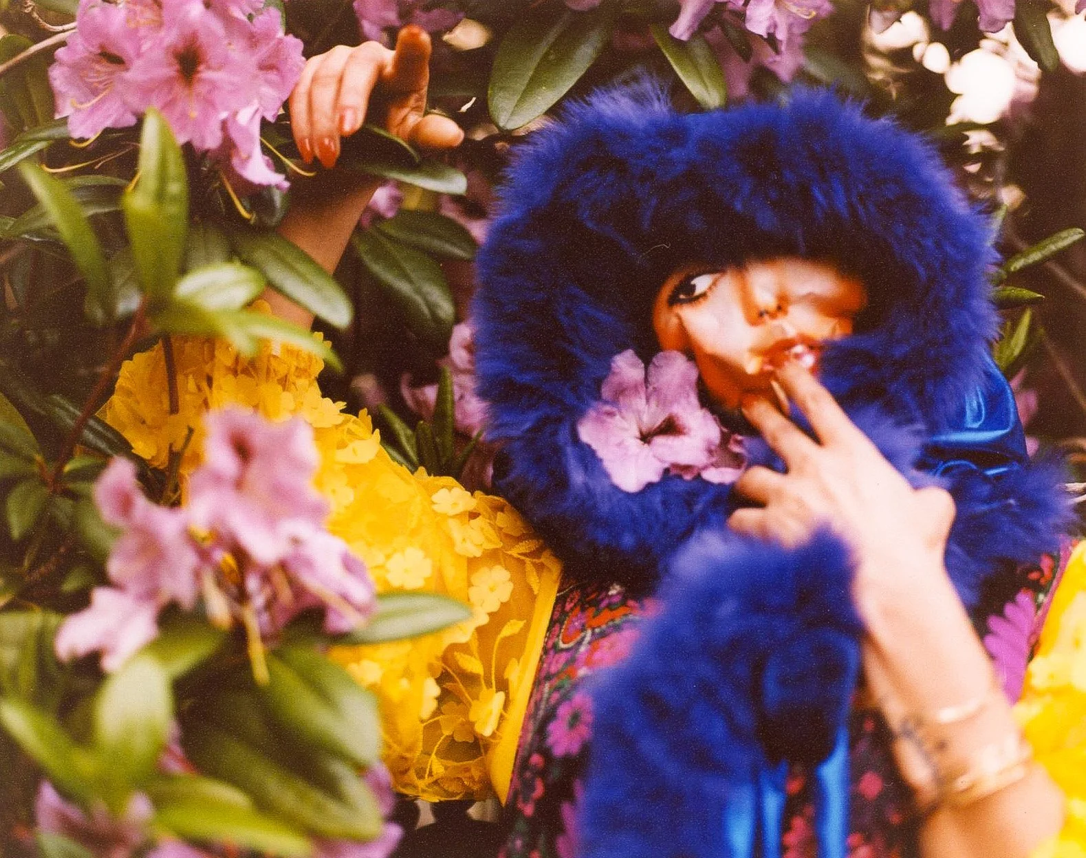googoosh_blue_flowers.jpg