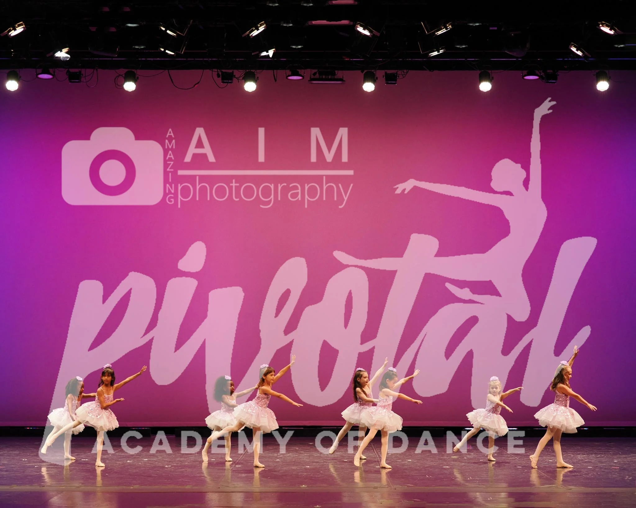 AimPhoto (10).jpg