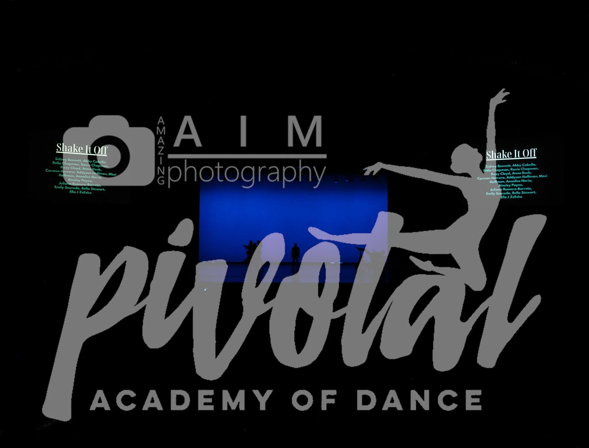 11 Shake It Off (0).jpg