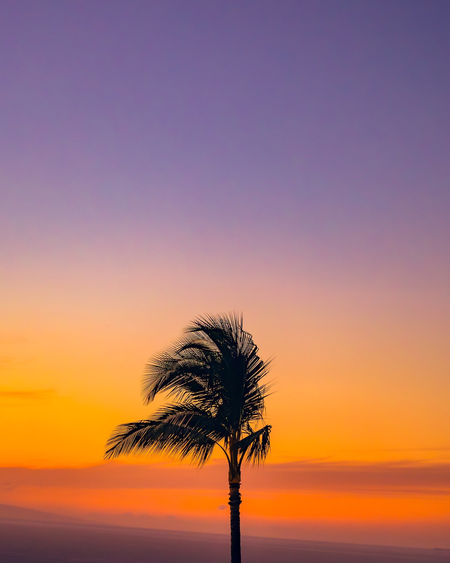 Golden hour, island style. A front-row seat to Maui&rsquo;s most breathtaking show&mdash;paired with a glass of wine and an unforgettable meal. 🌅 
#HotelWailea #relaischateaux #therestauranthw

📸: @troxphotos