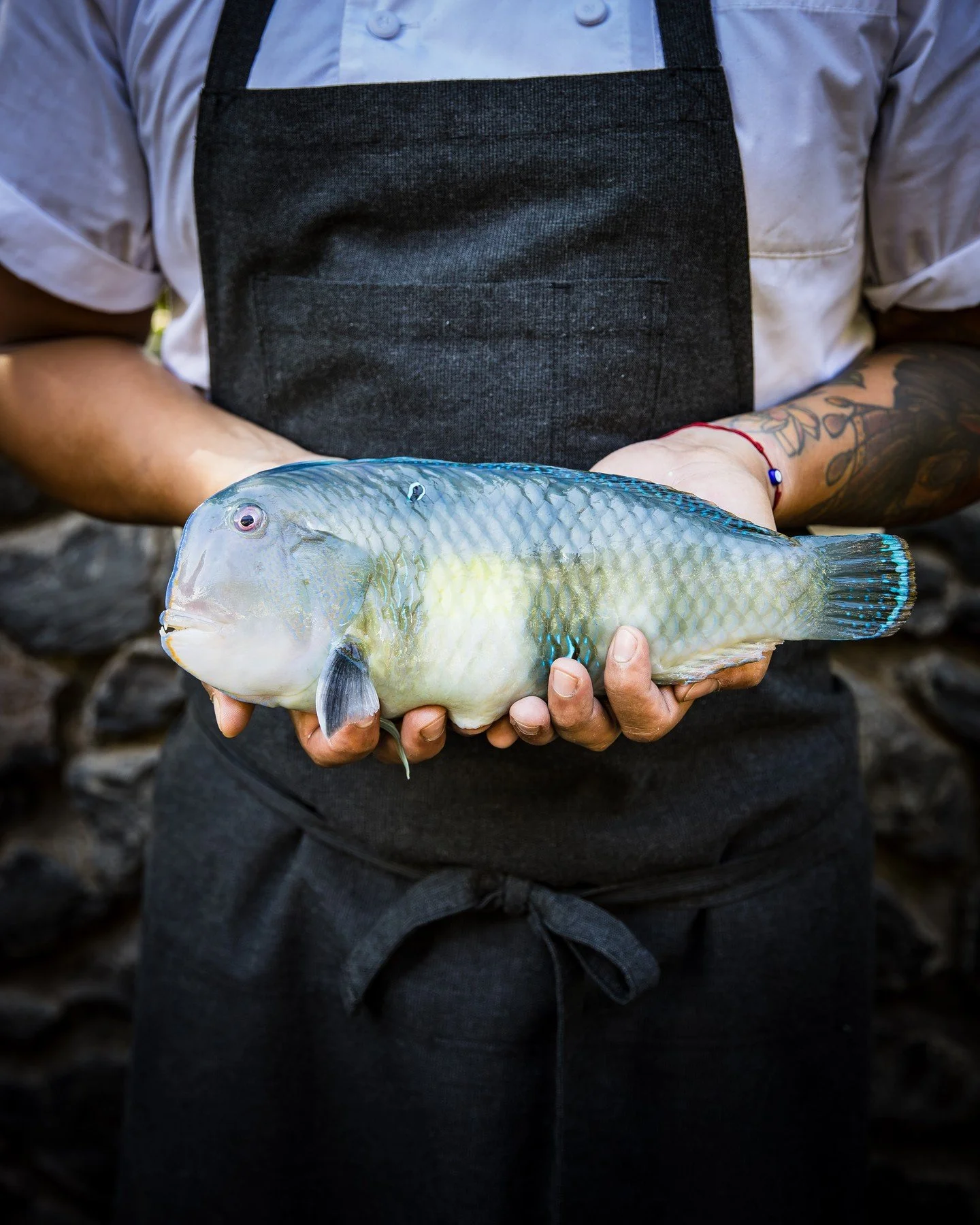 At The Restaurant at Hotel Wailea, our chefs collaborate closely with Maui&rsquo;s local fishermen to source the island&rsquo;s freshest catch each day. Every dish is a tribute to Hawai&lsquo;i&rsquo;s vibrant waters and the skilled hands that know t