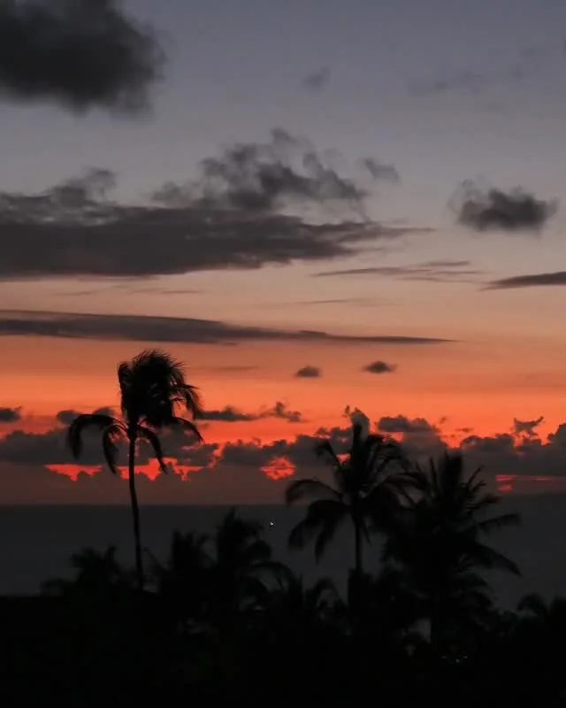 The best views on Maui are just the beginning. Fresh-caught harvests, orchard-grown produce, and the flavors of Hawai&lsquo;i come together high above Wailea at the most romantic restaurant on Maui.

Reserve your table this holiday season and let the