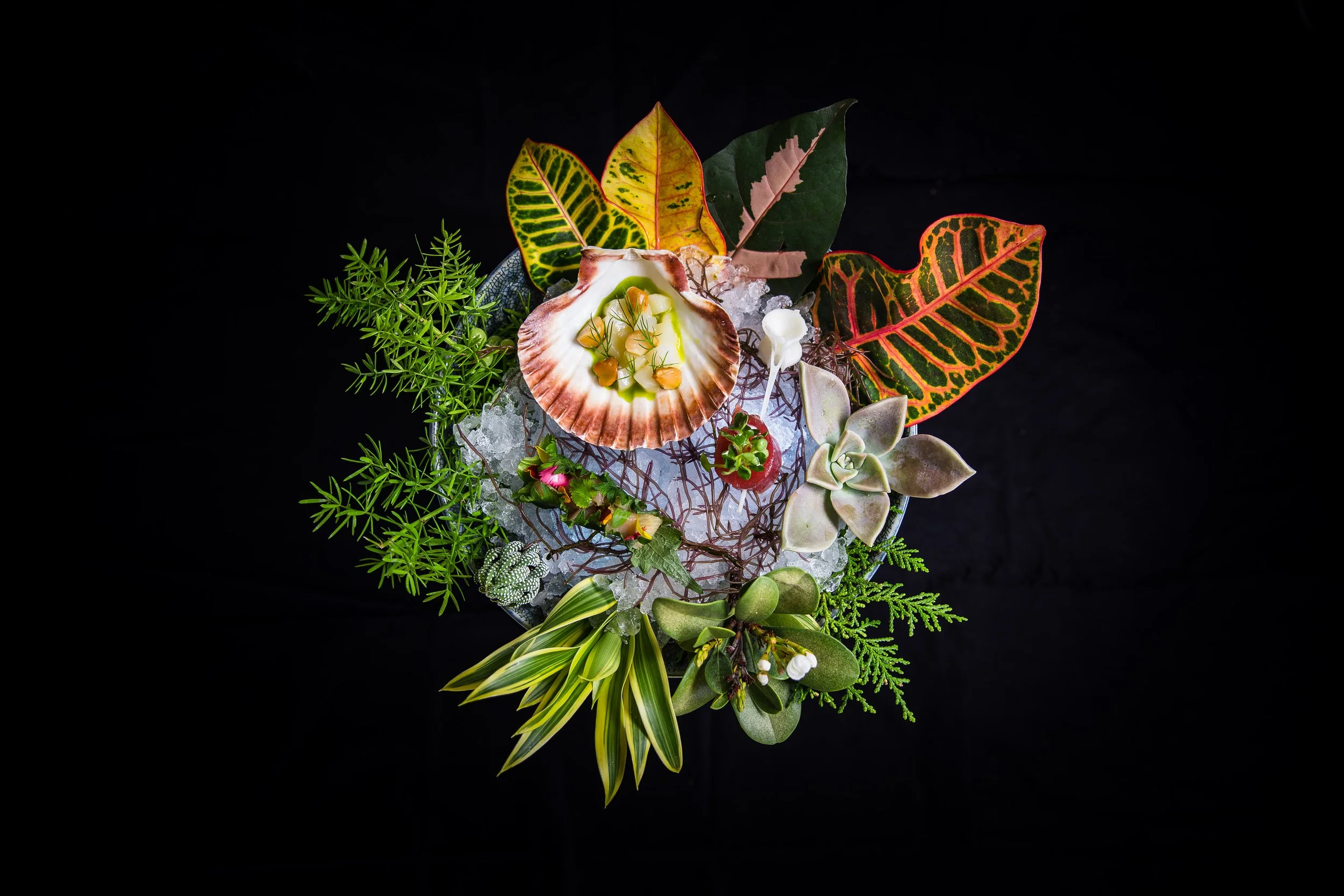 Arrangement of tropical plants and succulents on ice with a seashell containing a candle in the center, against a black background.