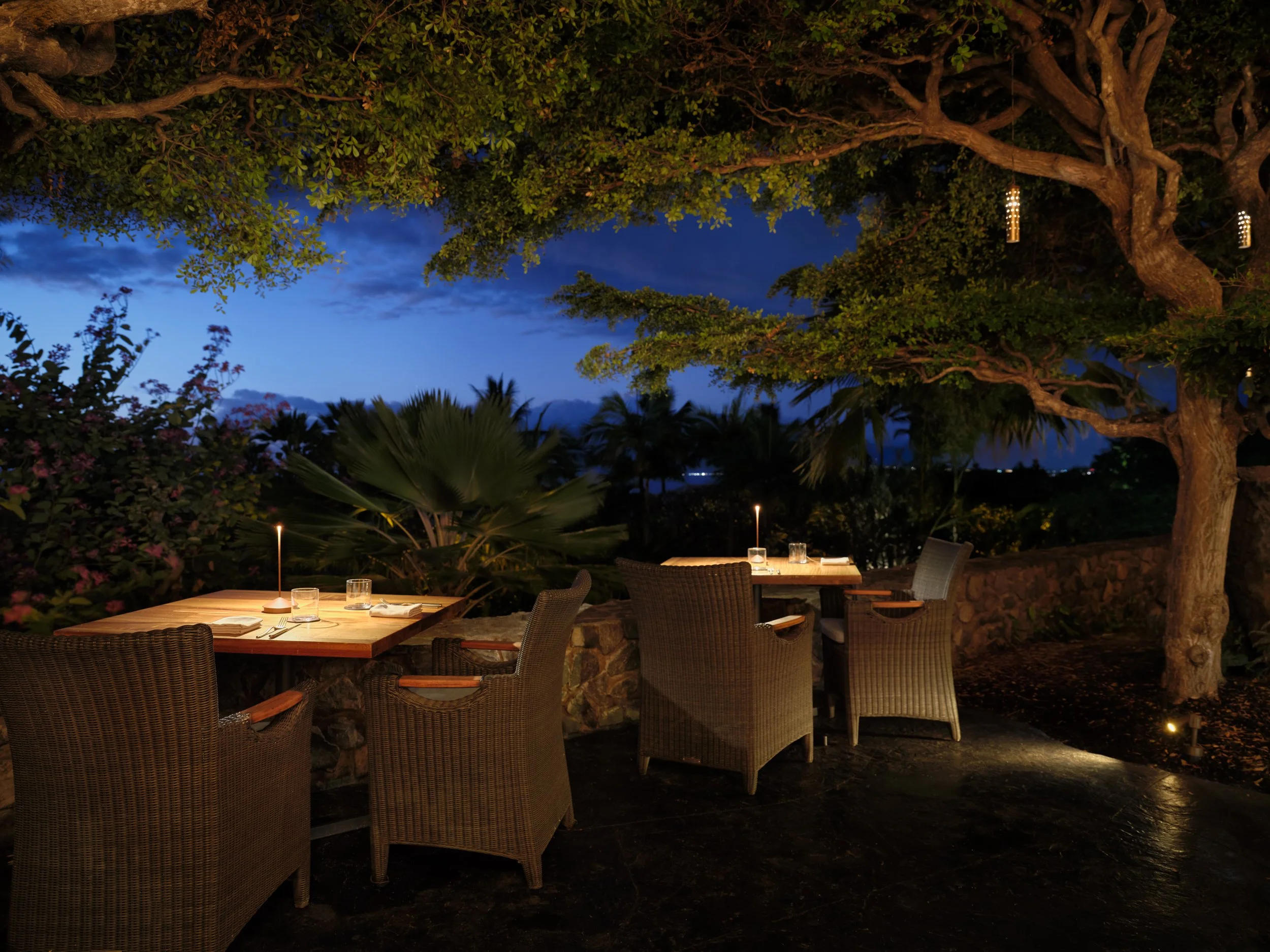 Outdoor dining area with wicker chairs and tables under a large tree at dusk, with a darkening sky and lush tropical foliage in the background.