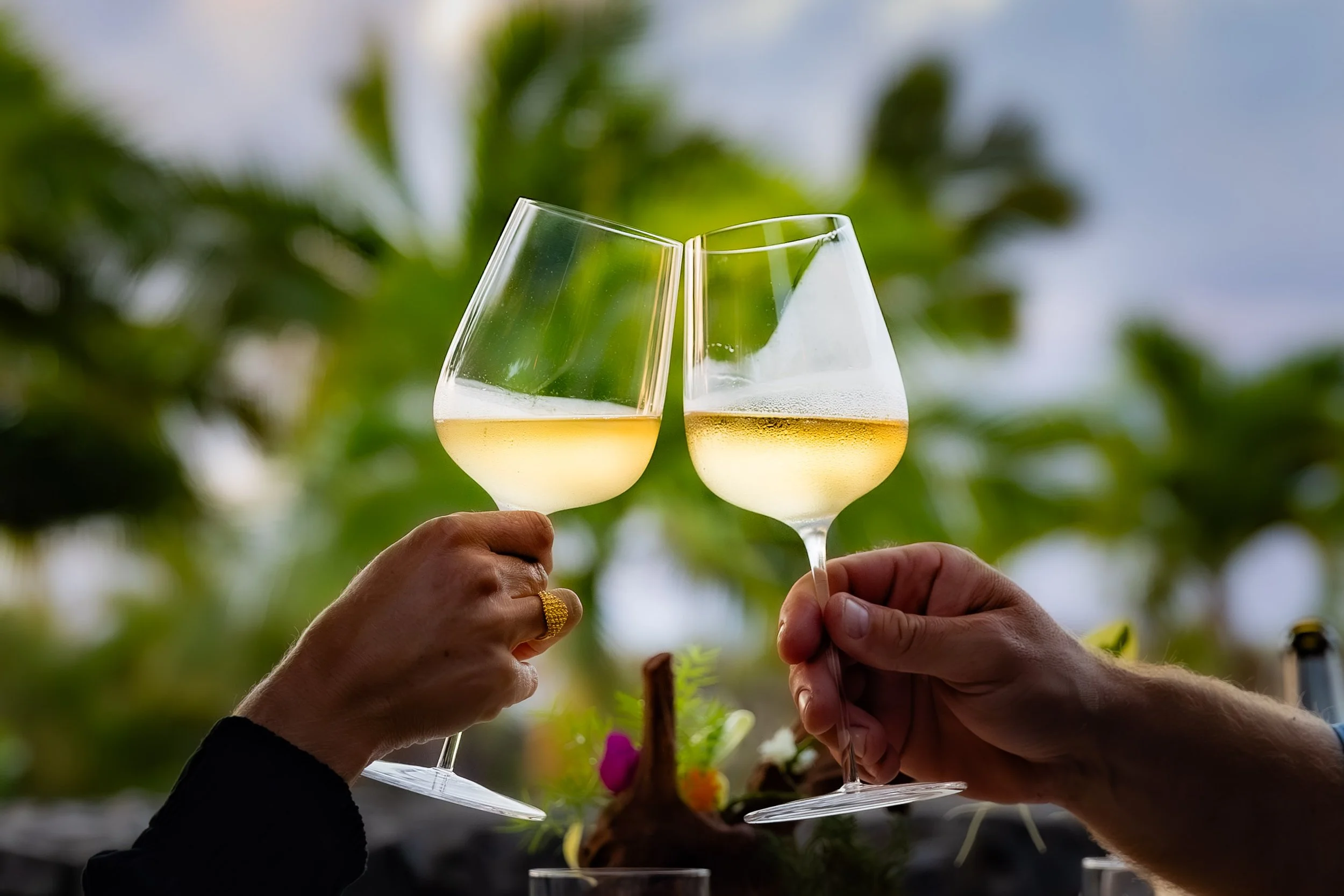 Two people clinking glasses of white wine outdoors with greenery in the background.