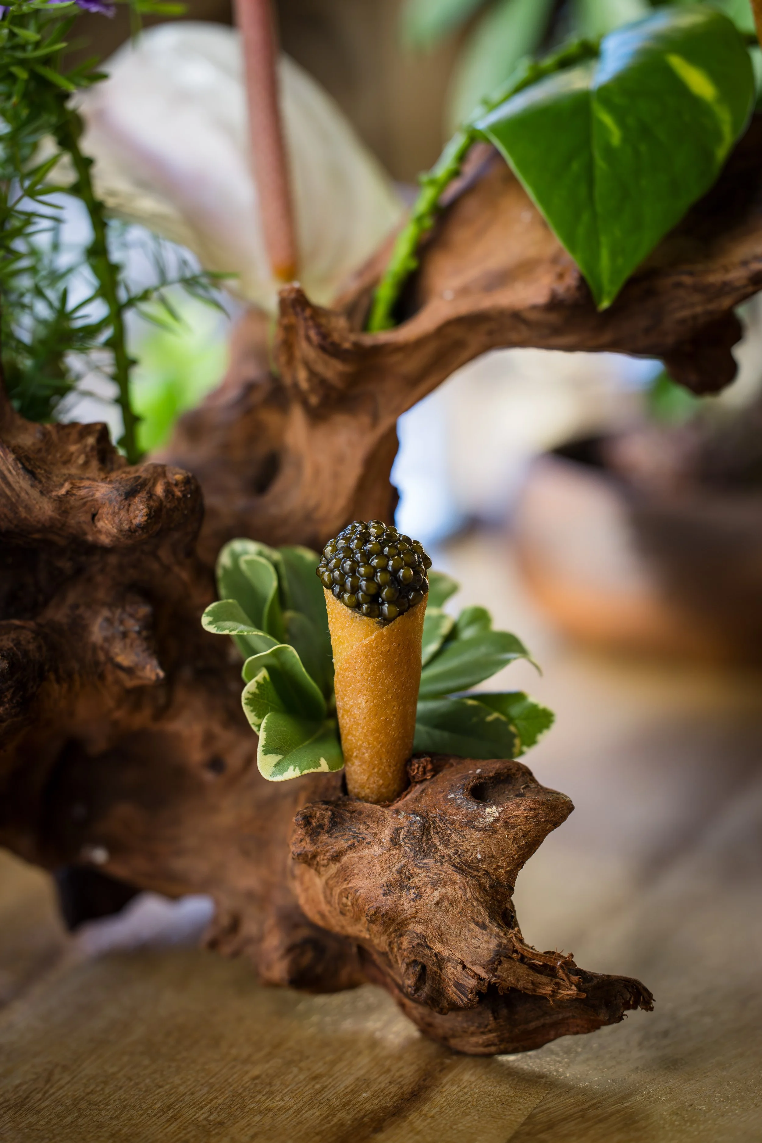 A close-up of a decorative edible item resembling an ice cream cone with black caviar on top, placed among green leaves and branches on a wooden surface.