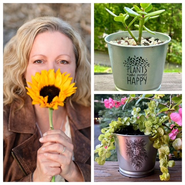 Plant Succulents with Greenlady WNC