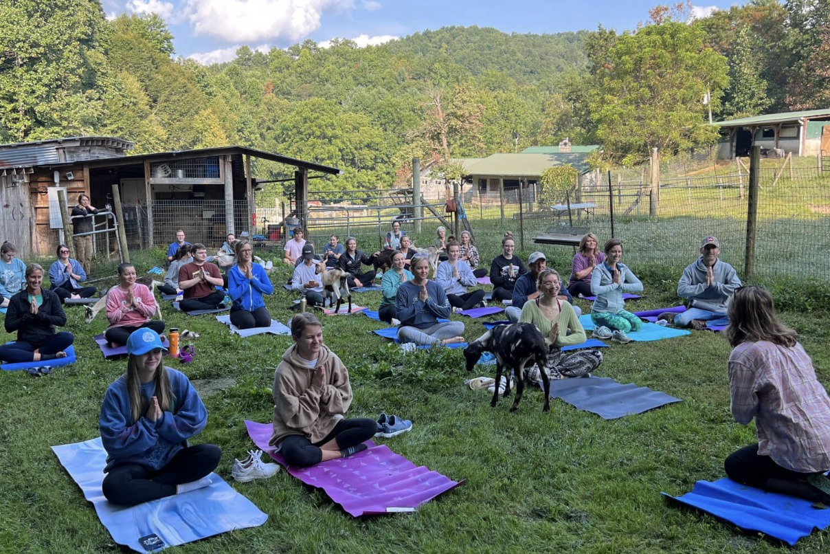 Goat Yoga